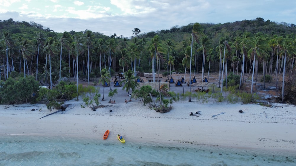 two kayakers on a beach with palm trees in the background