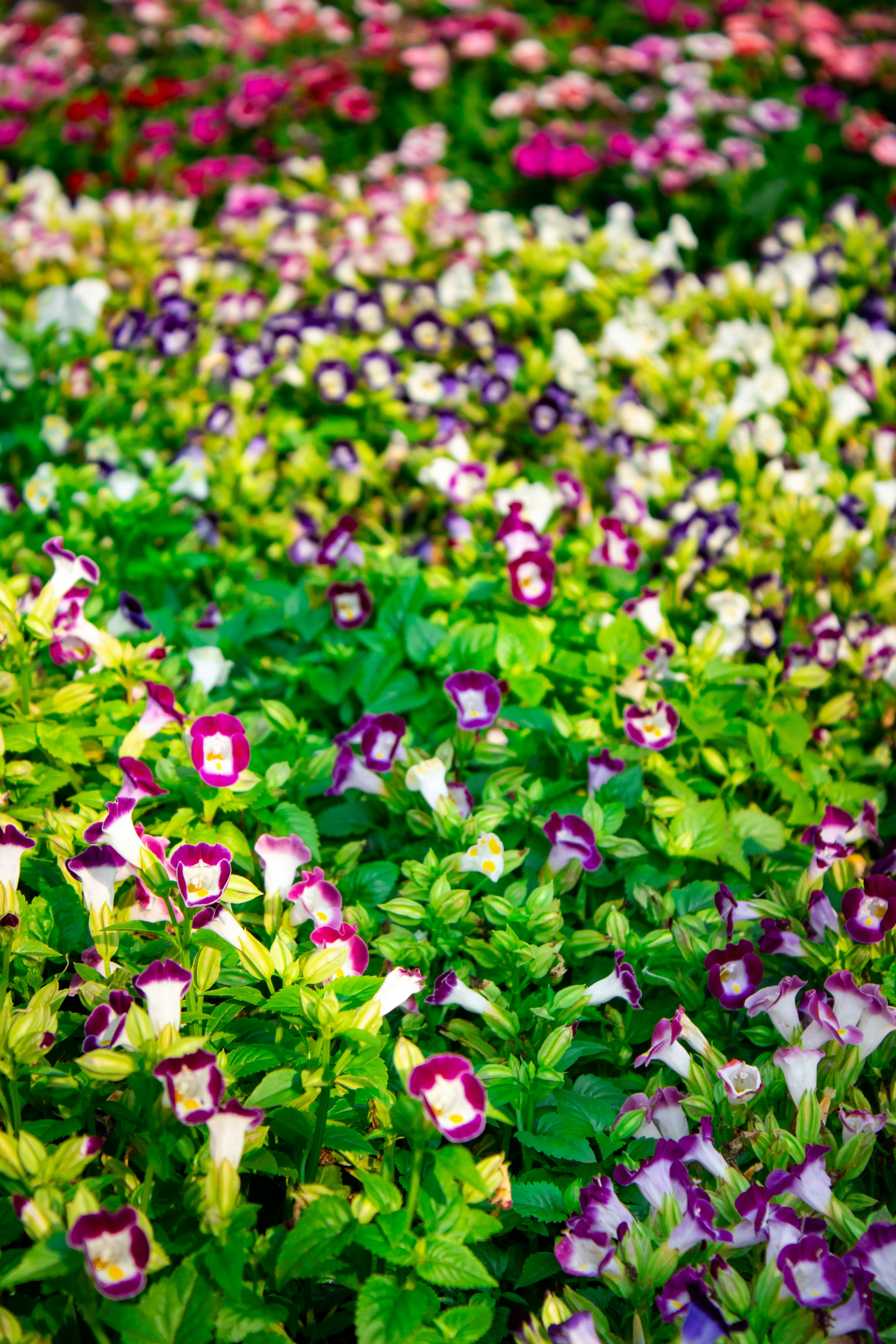 Photo by audumbar999