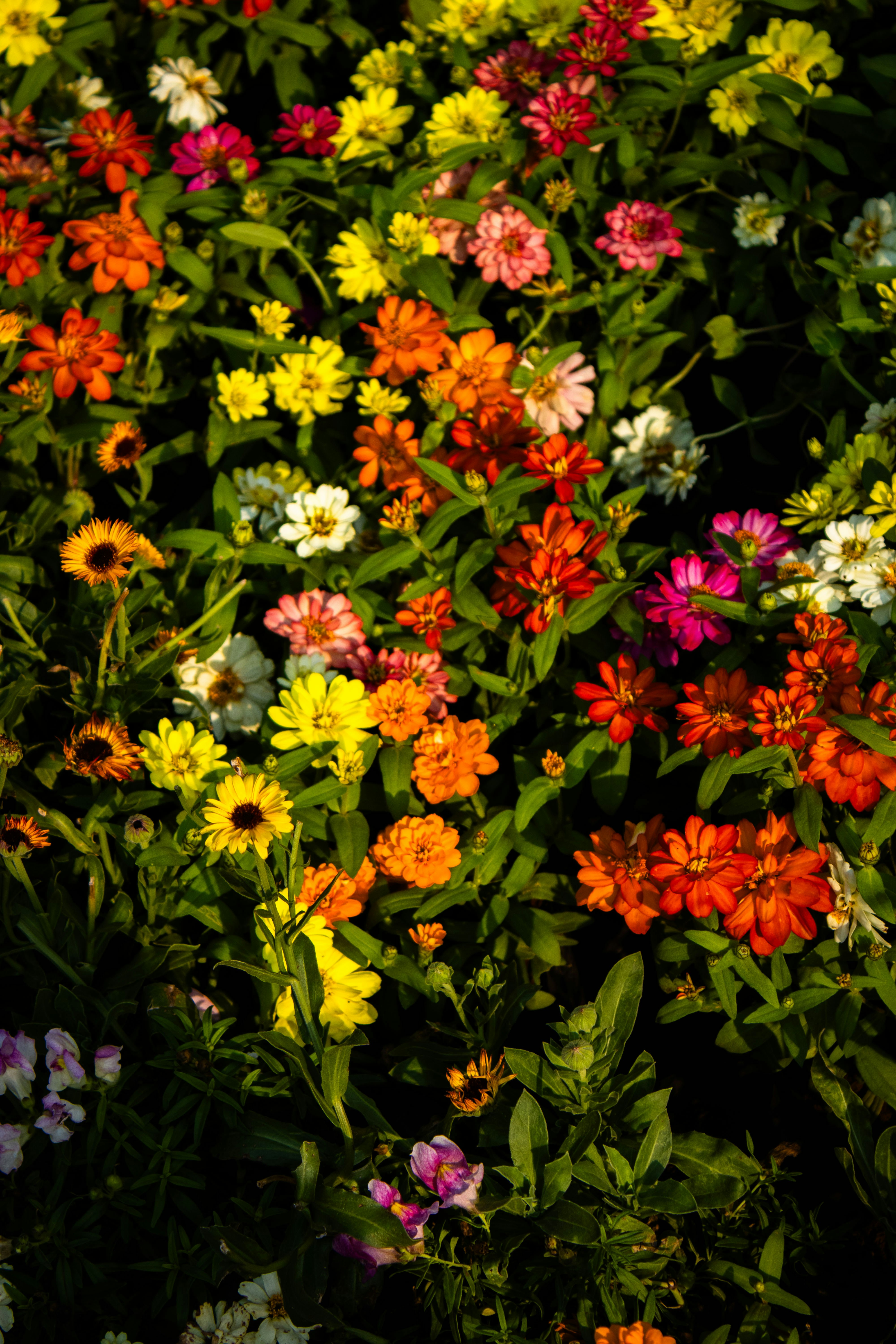 Photo by audumbar999