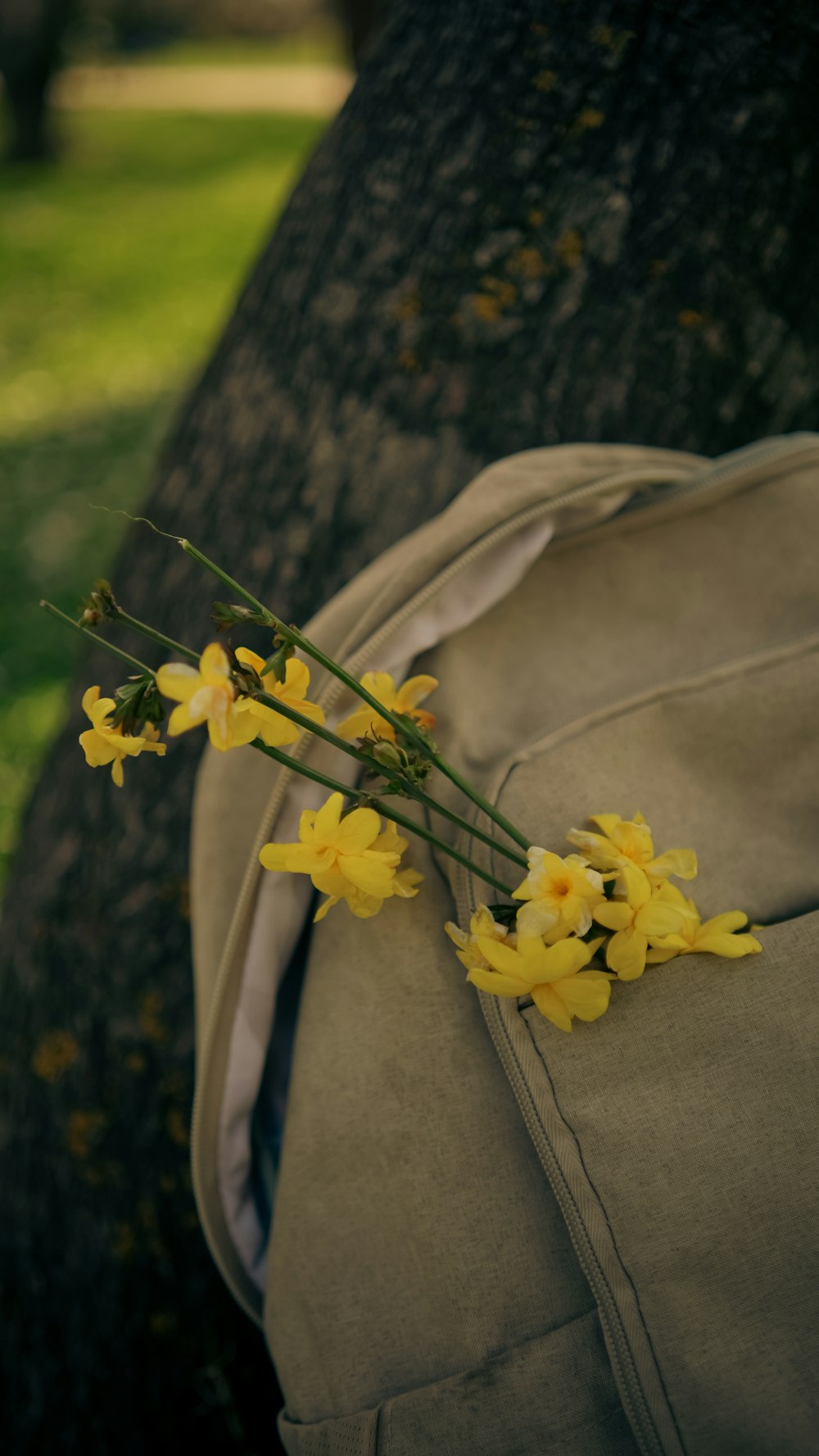 a bunch of yellow flowers sitting on top of a backpack