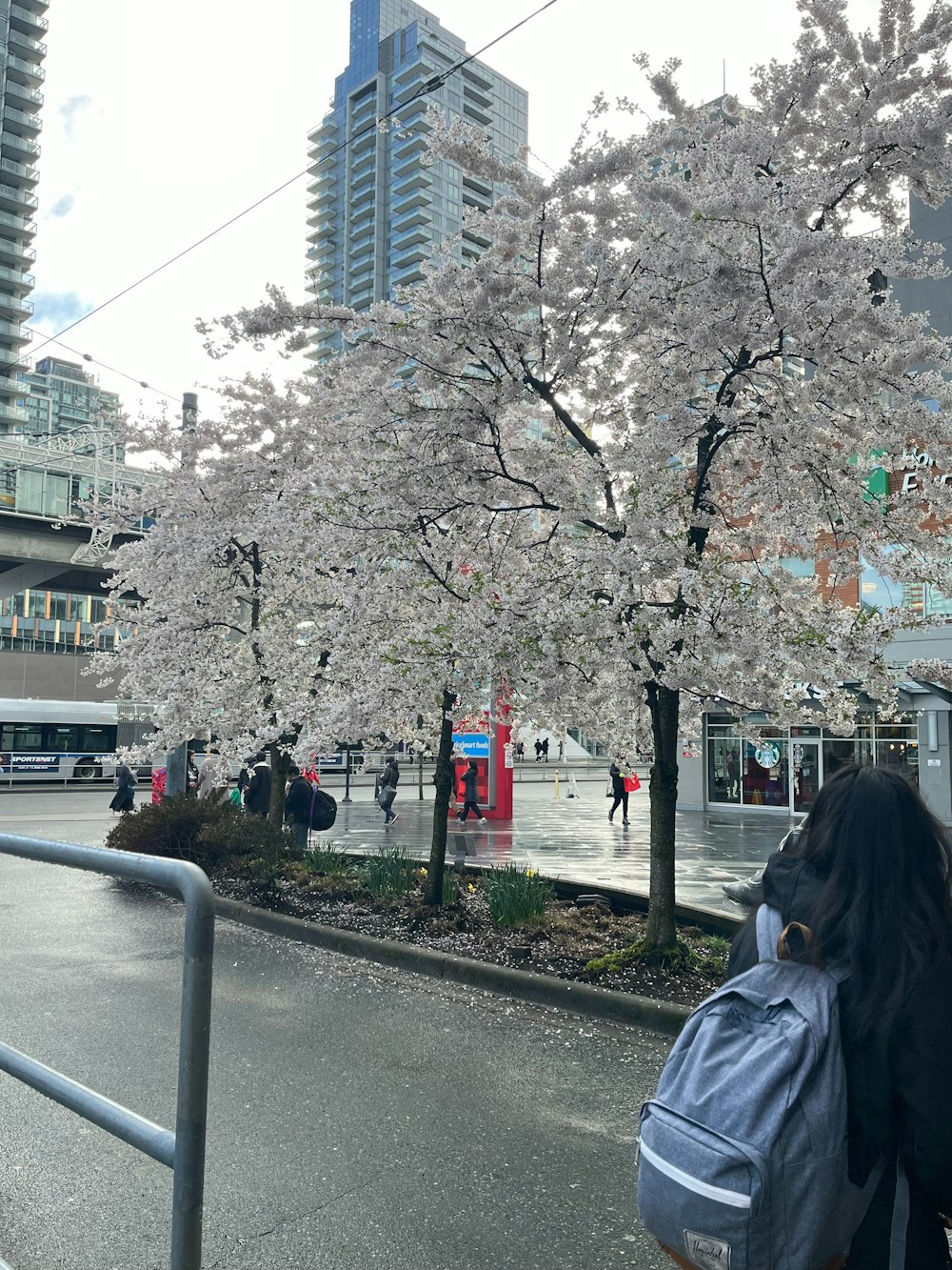 a woman walking down a street next to a tree