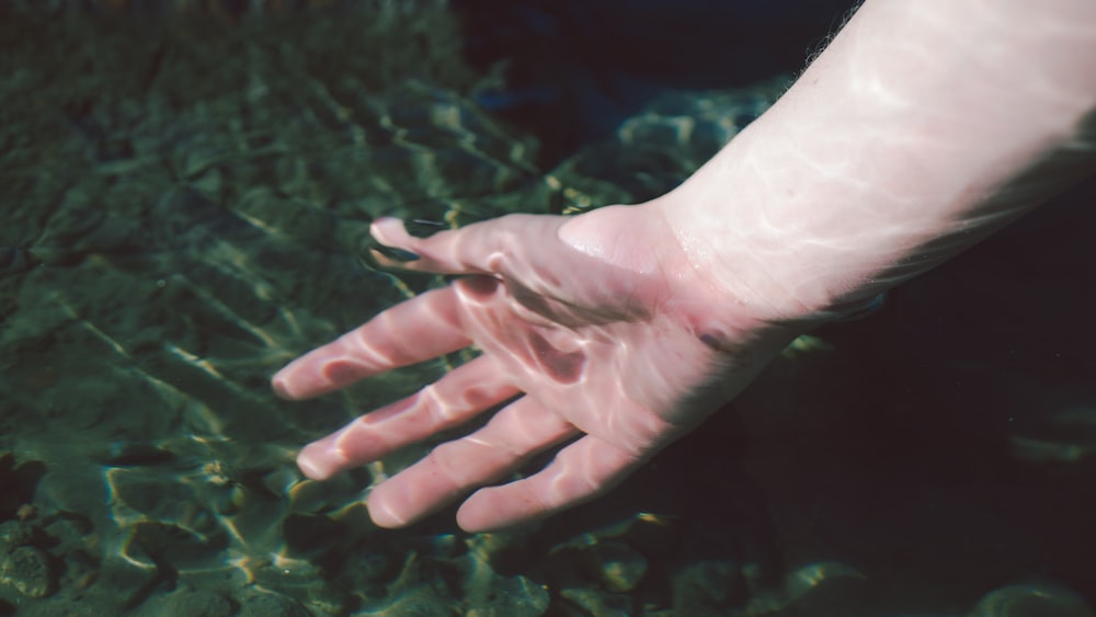 a person's hand reaching for something in the water