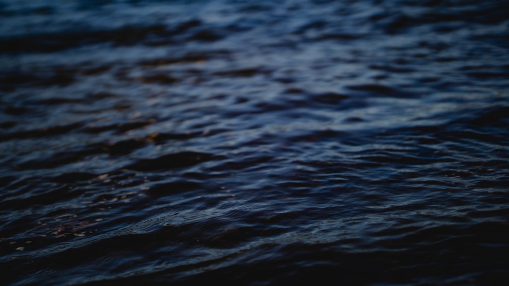 a blurry photo of the water surface of a body of water