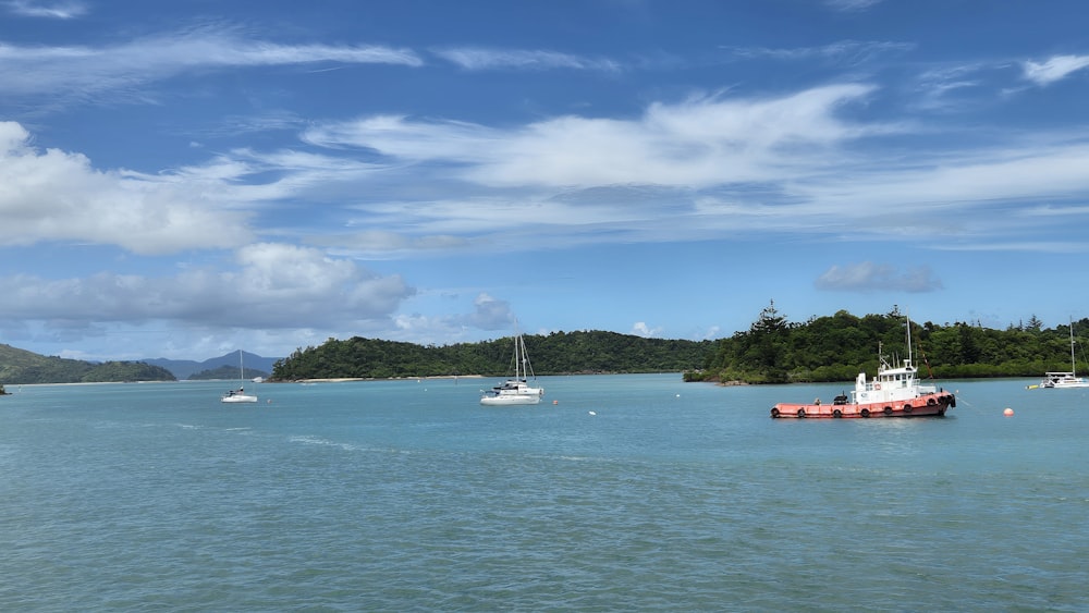 a group of boats floating on top of a body of water