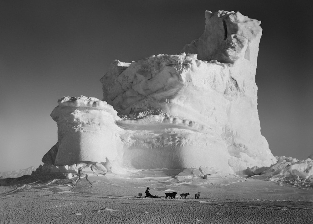 a black and white photo of a horse drawn sleigh