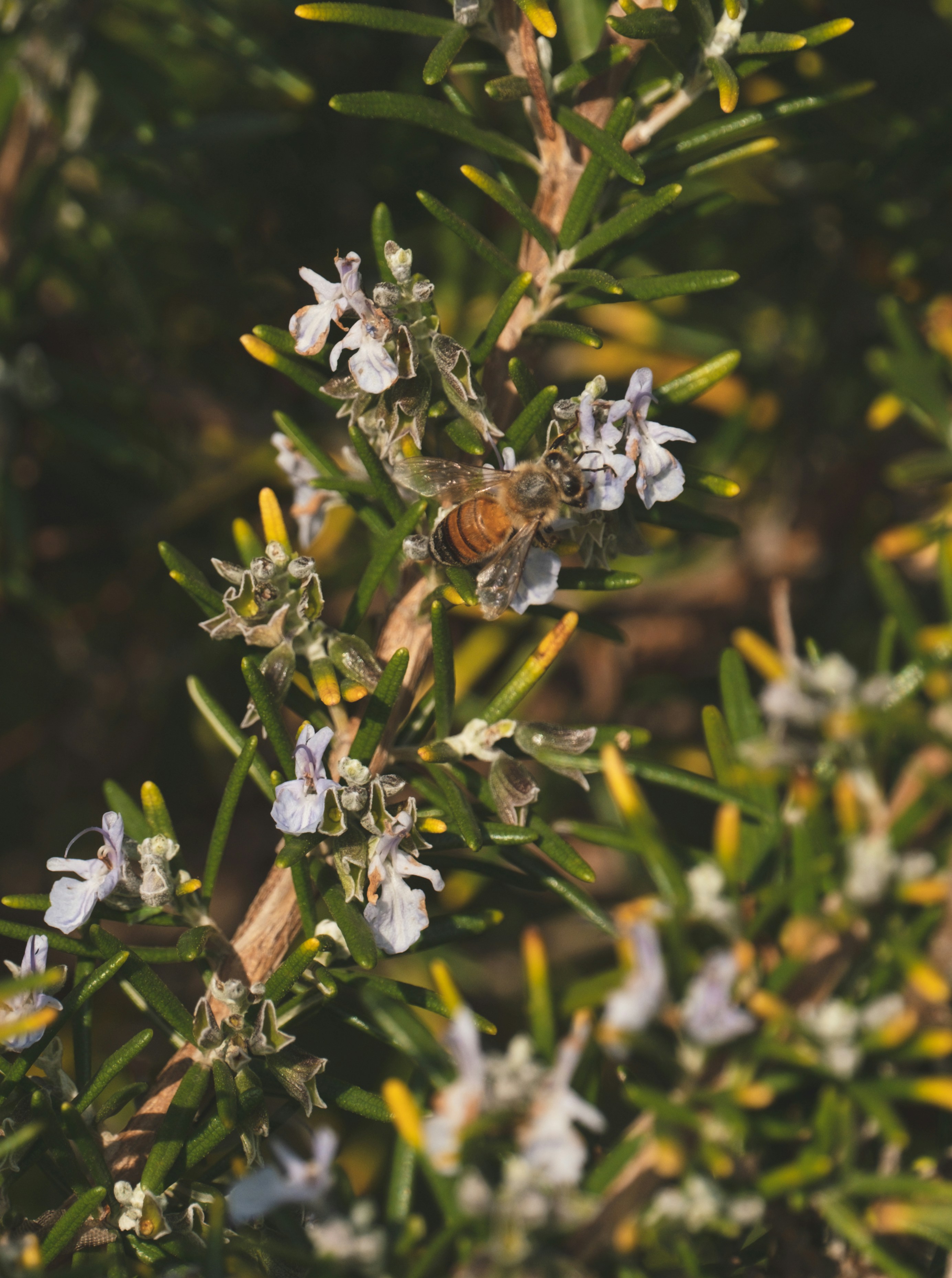 Photo by francesco_ungaro