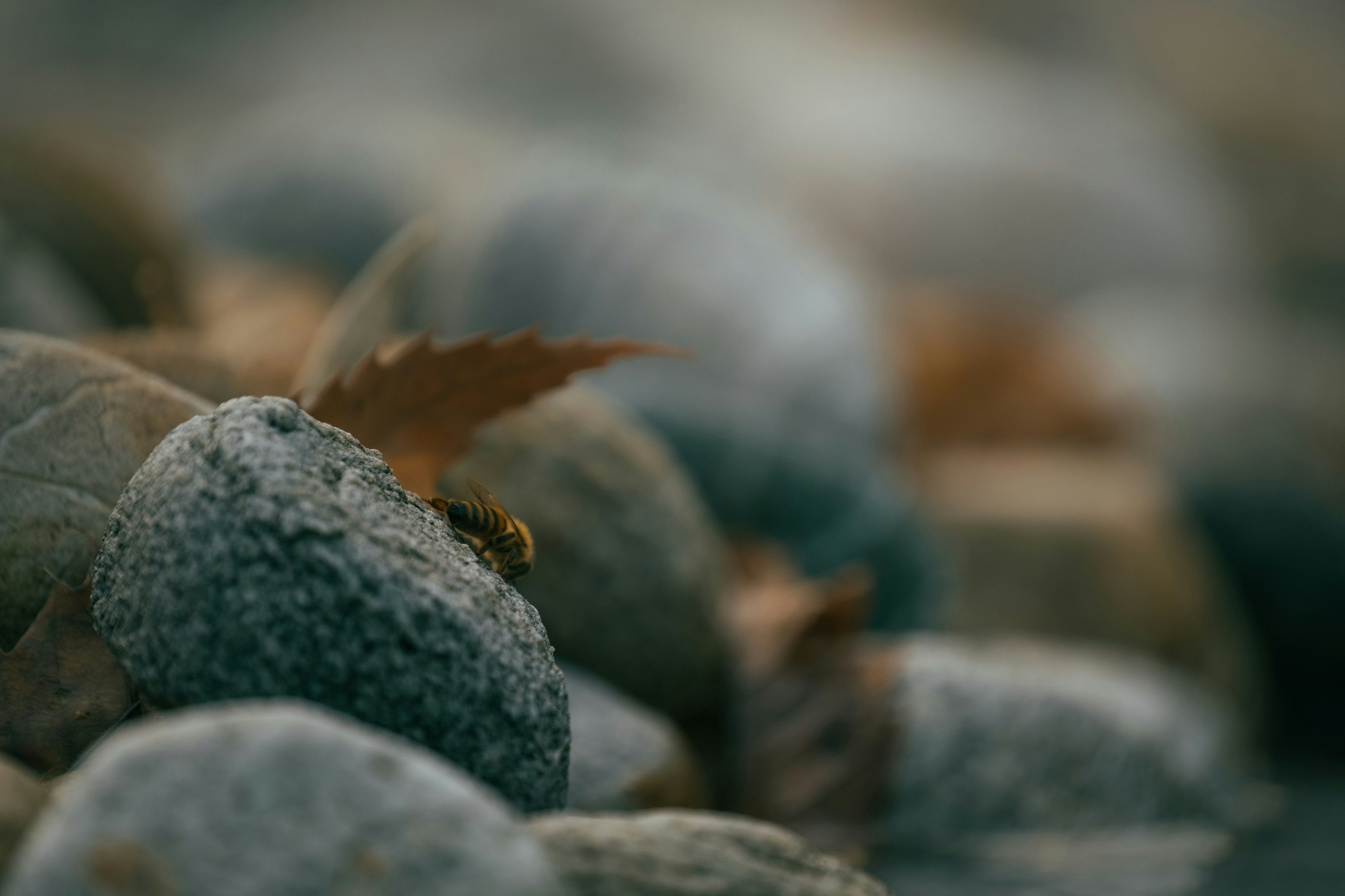 Photo by francesco_ungaro