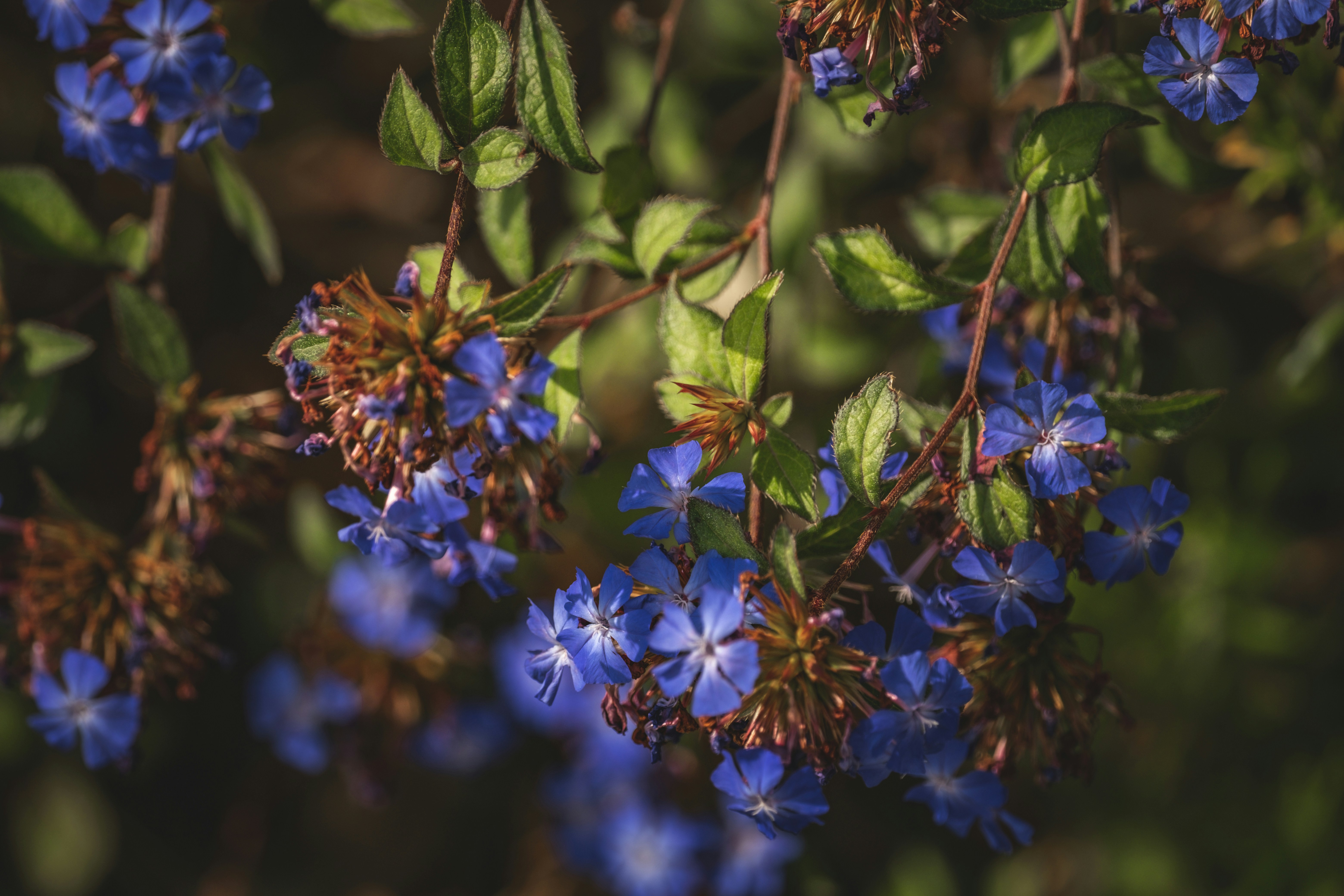 Photo by francesco_ungaro