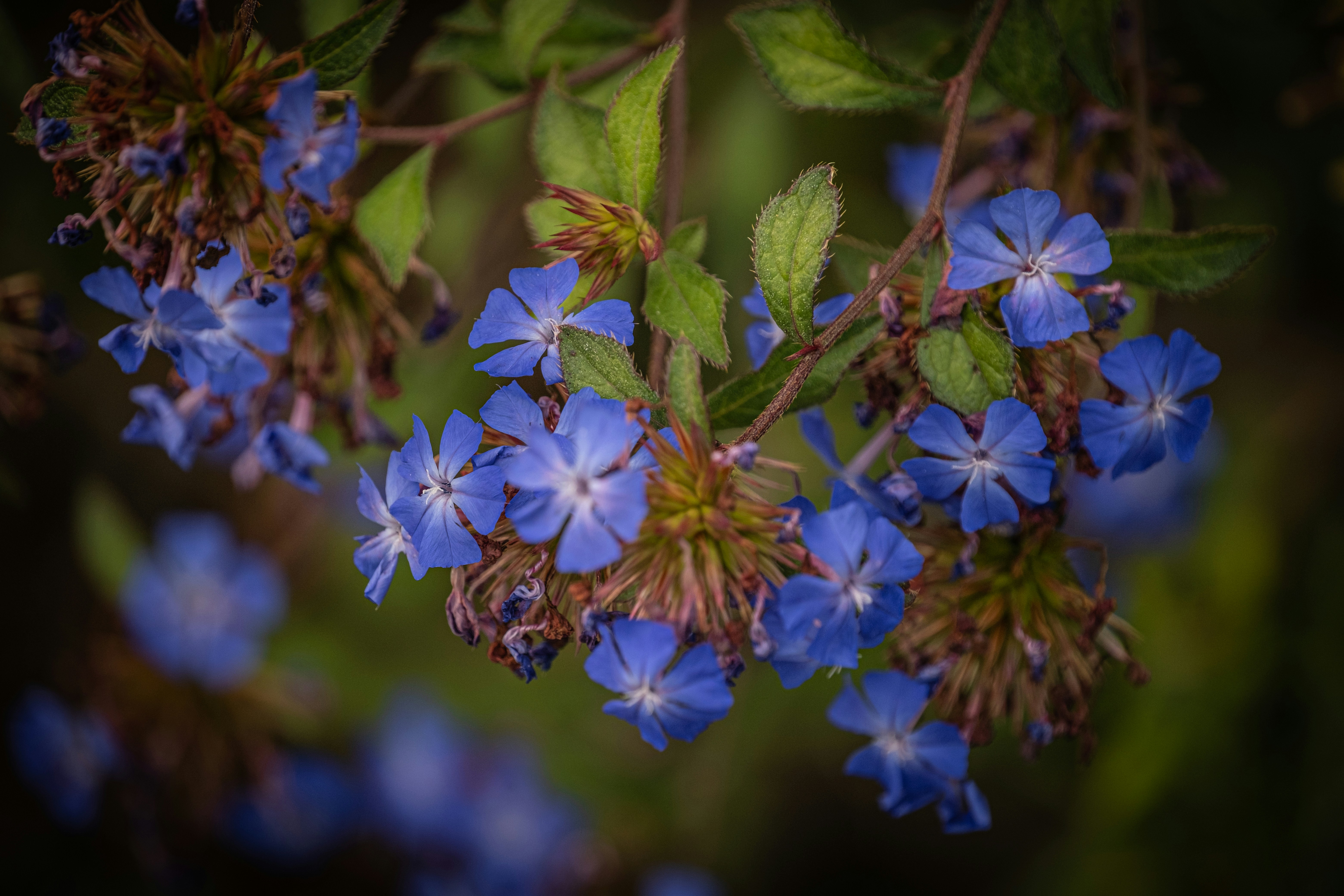 Photo by francesco_ungaro