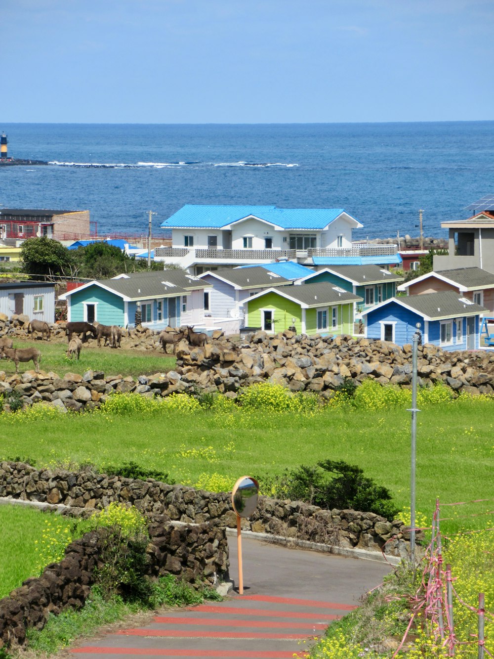 a person walking down a path near a beach