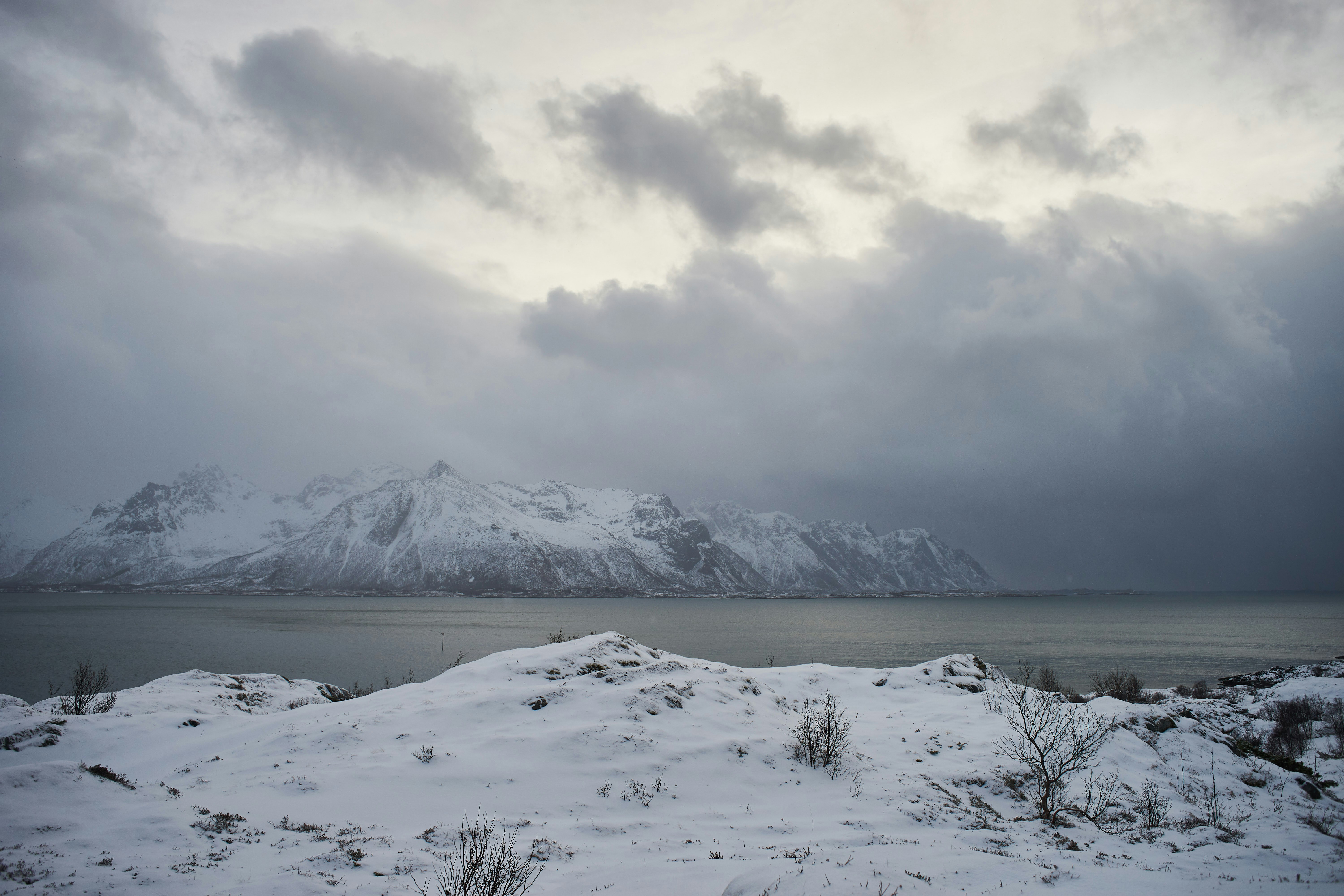 Photo by wolfgang_hasselmann