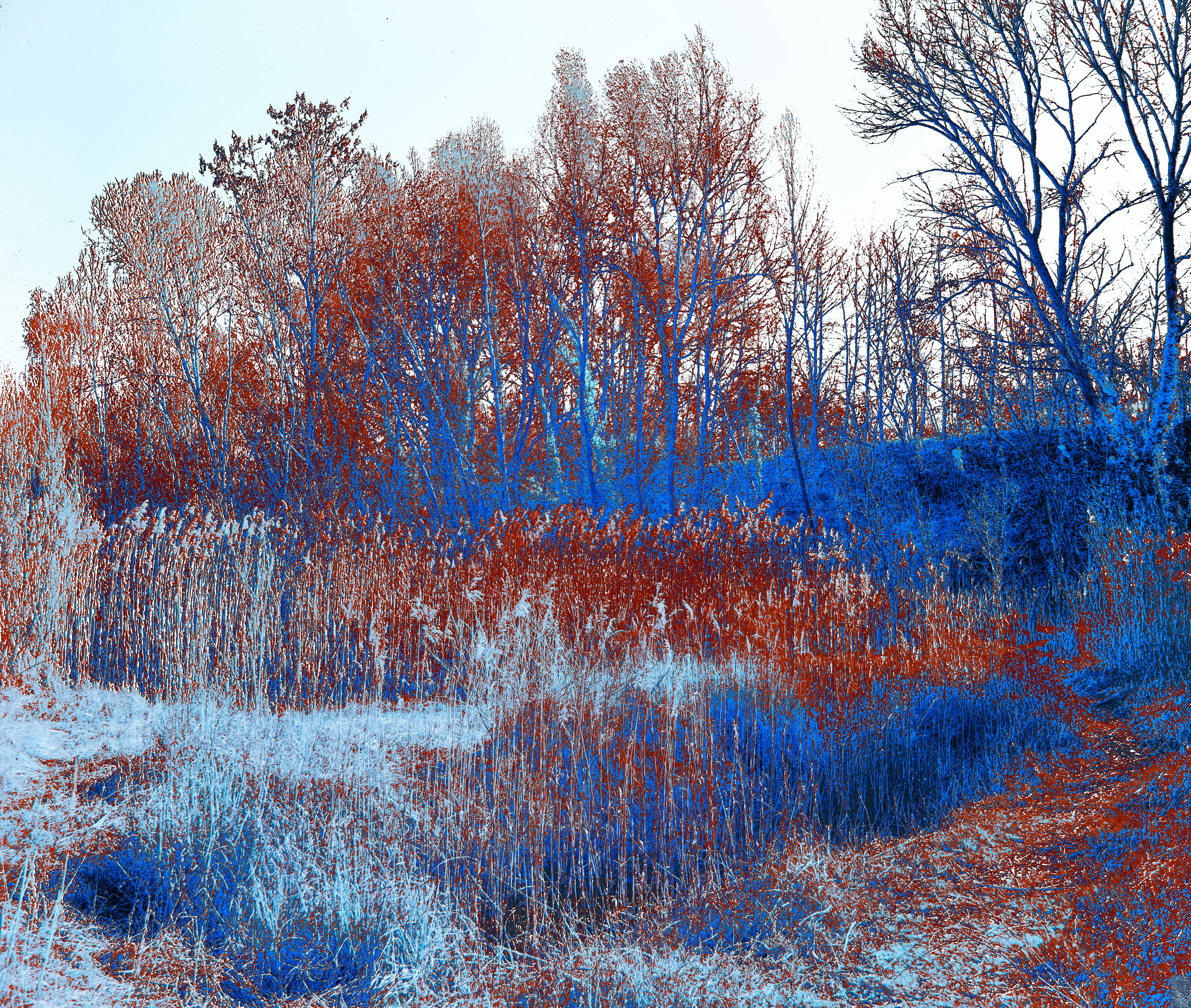 Photo by wolfgang_hasselmann