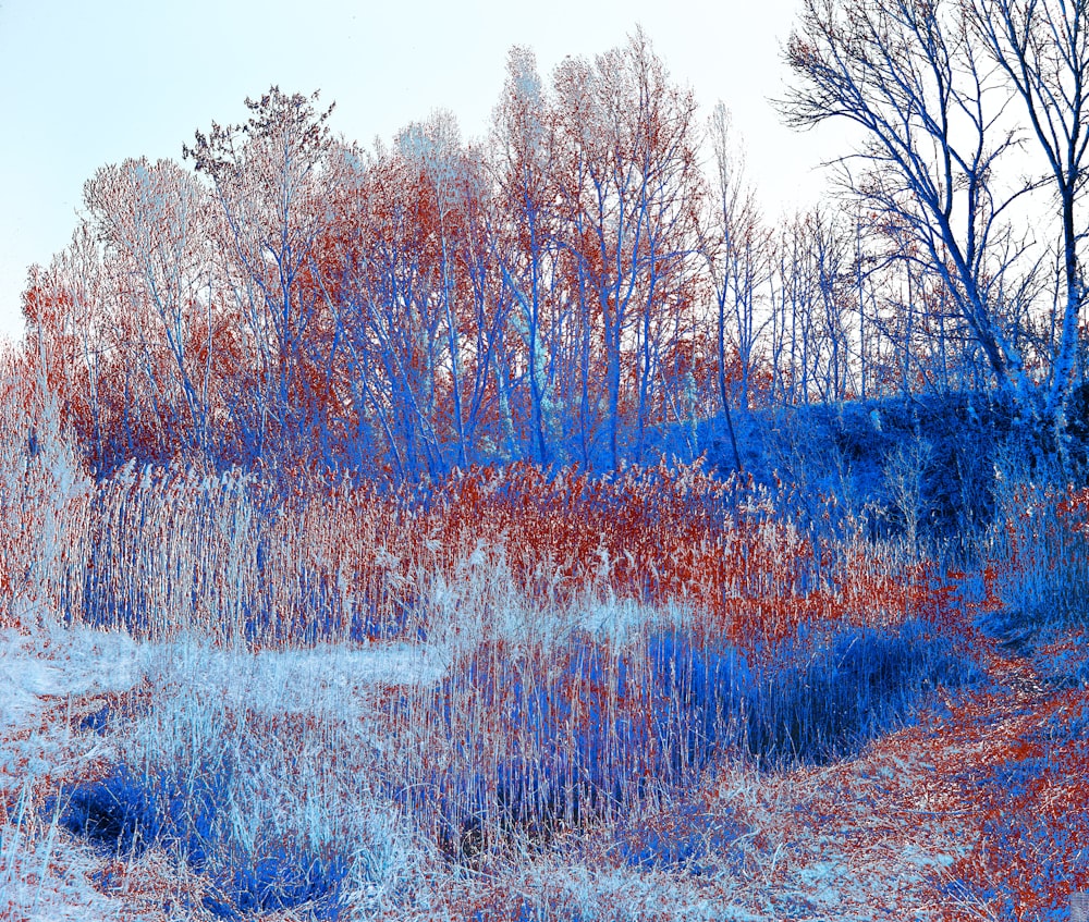 a painting of trees and bushes with blue and red paint