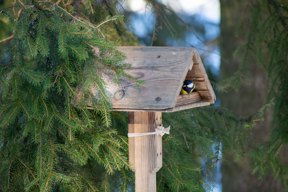 a bird house with a bird inside of it