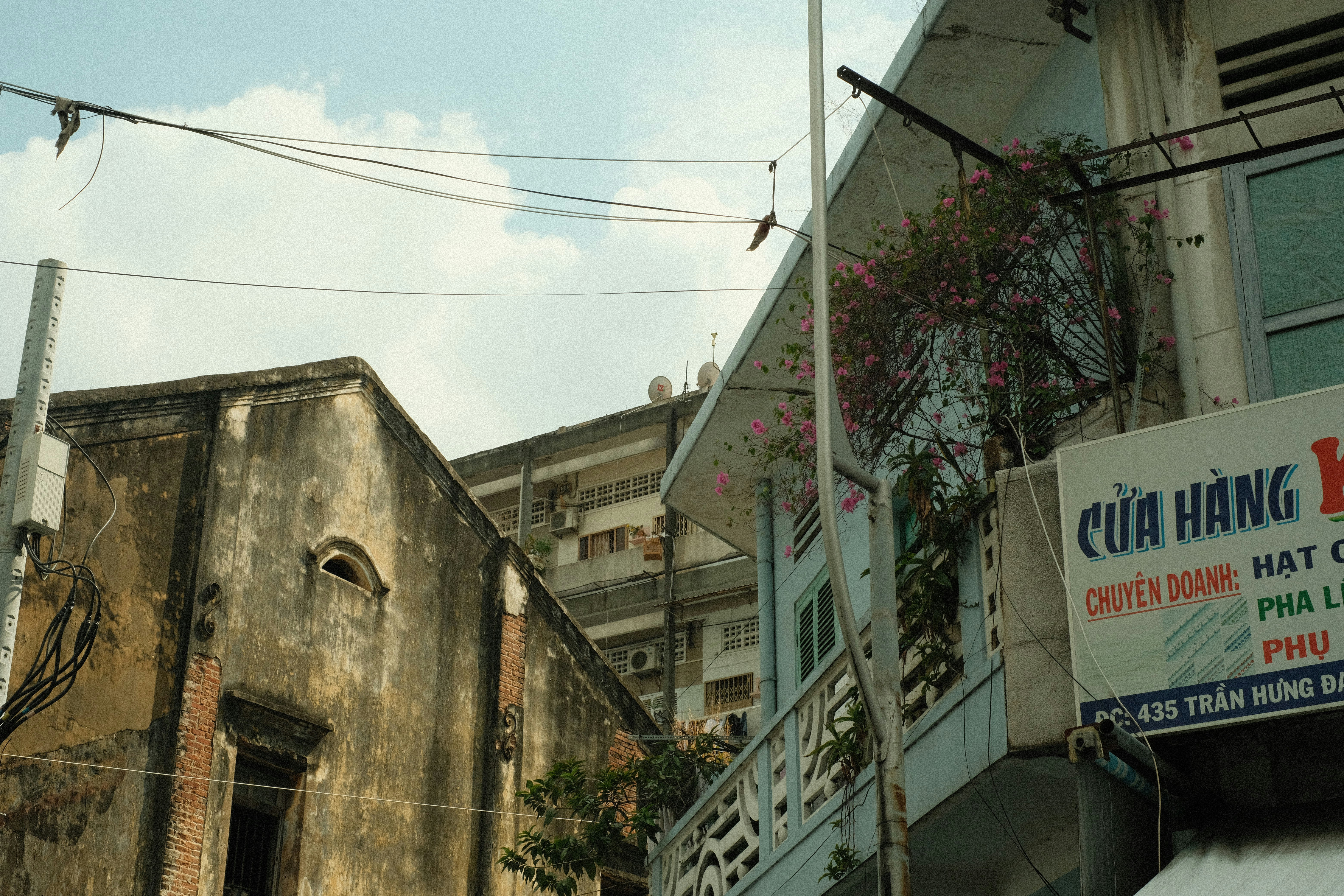 Photo by donguyenkhanhs