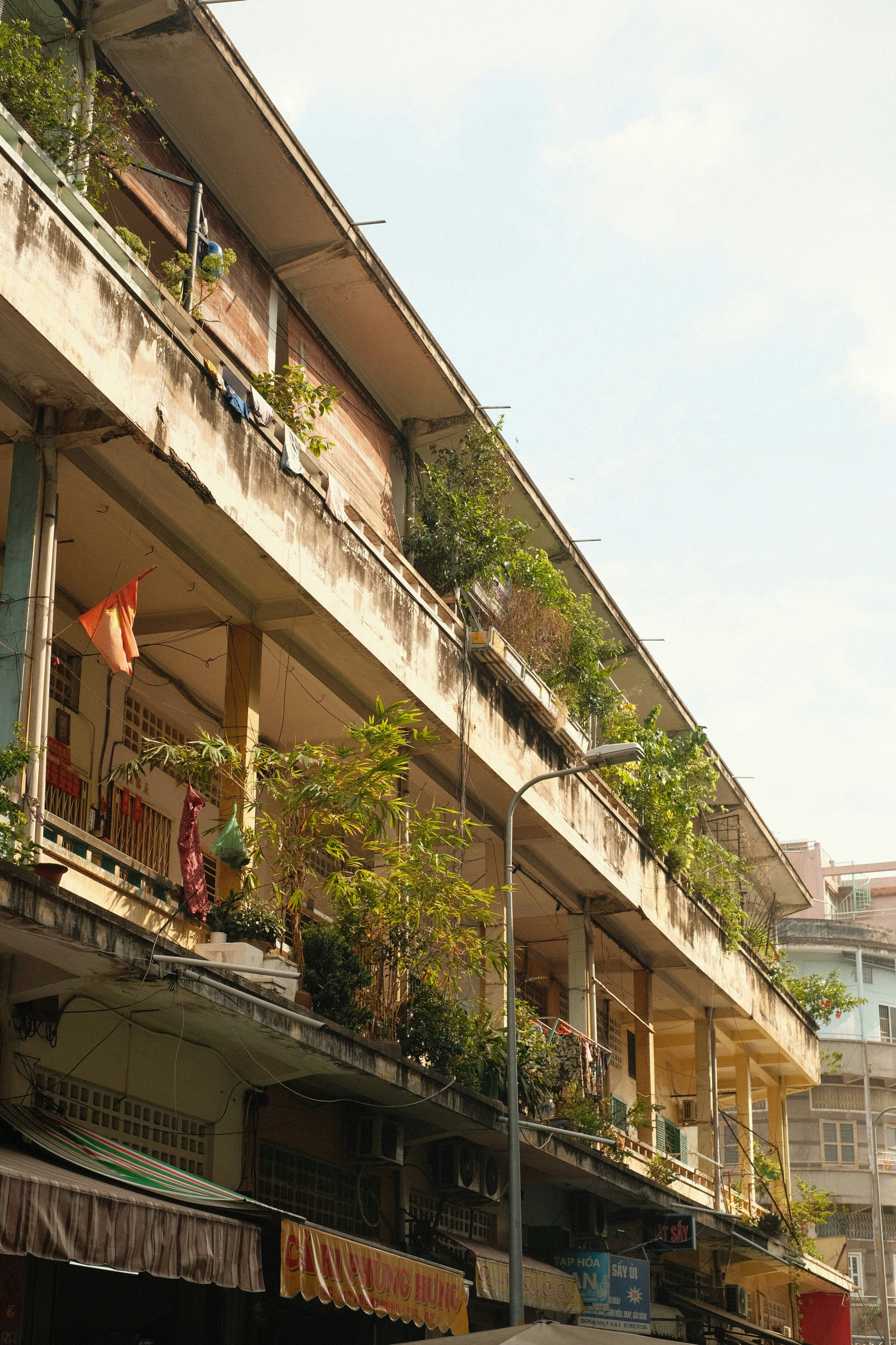 Photo by donguyenkhanhs