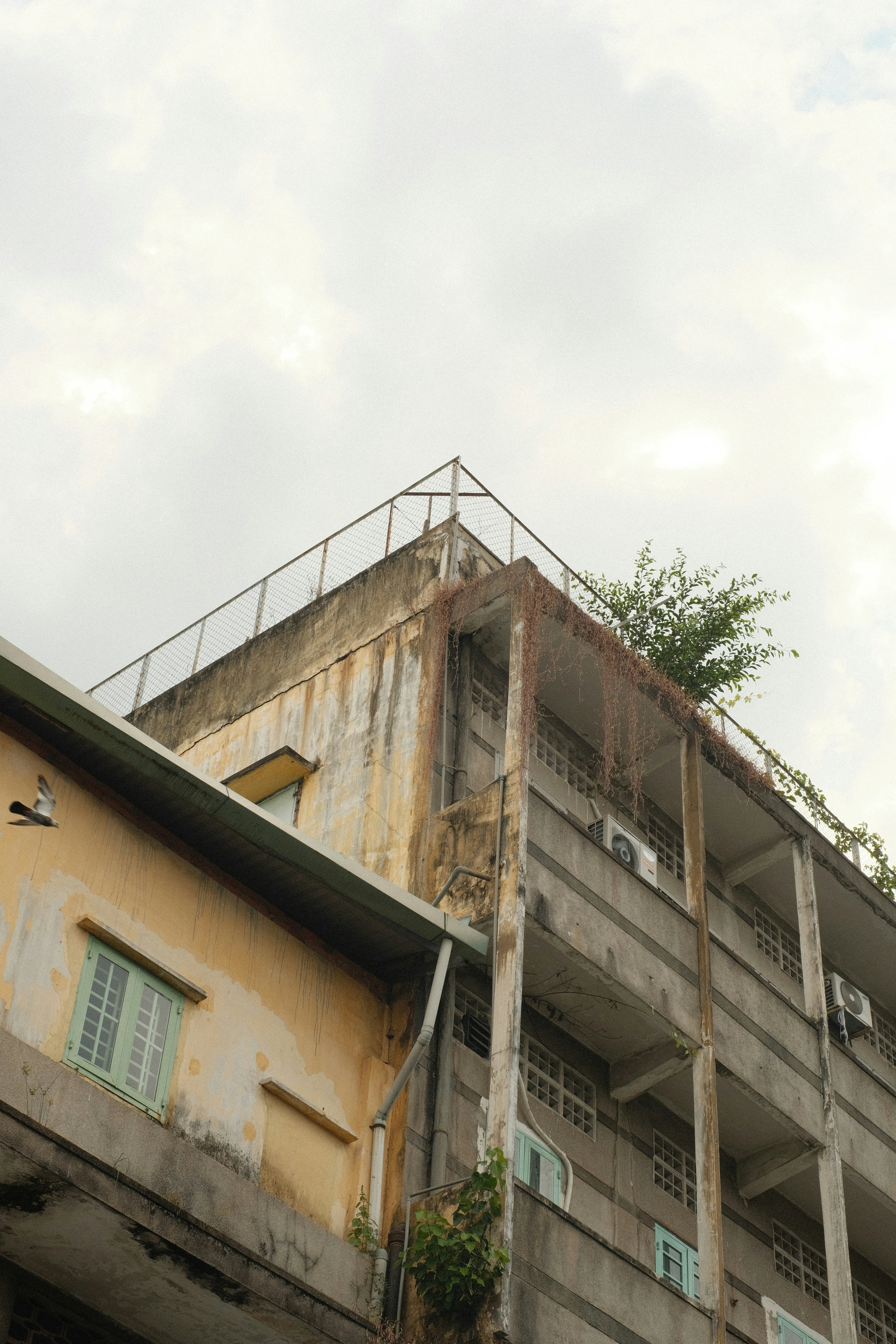 Photo by donguyenkhanhs