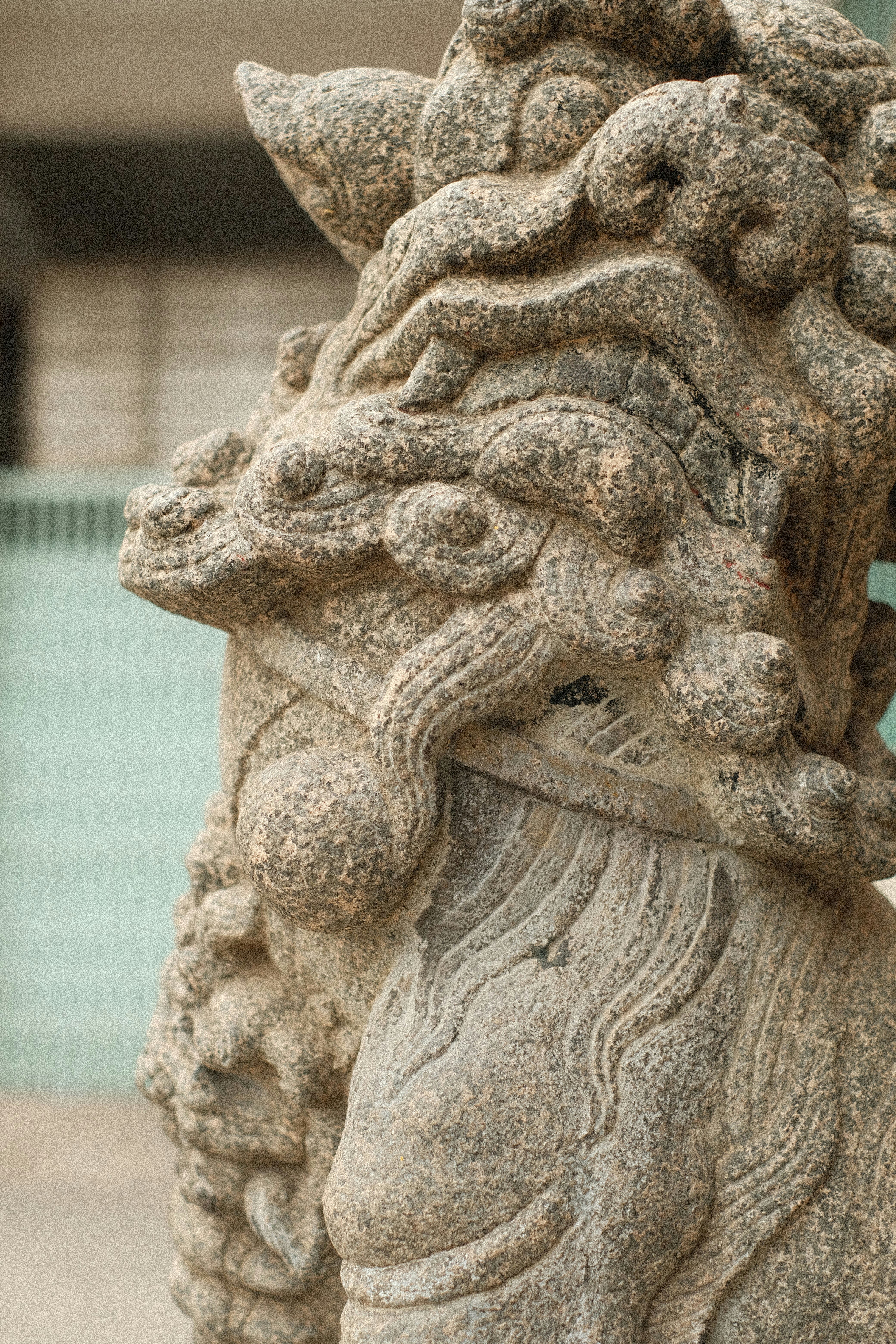 Photo by donguyenkhanhs