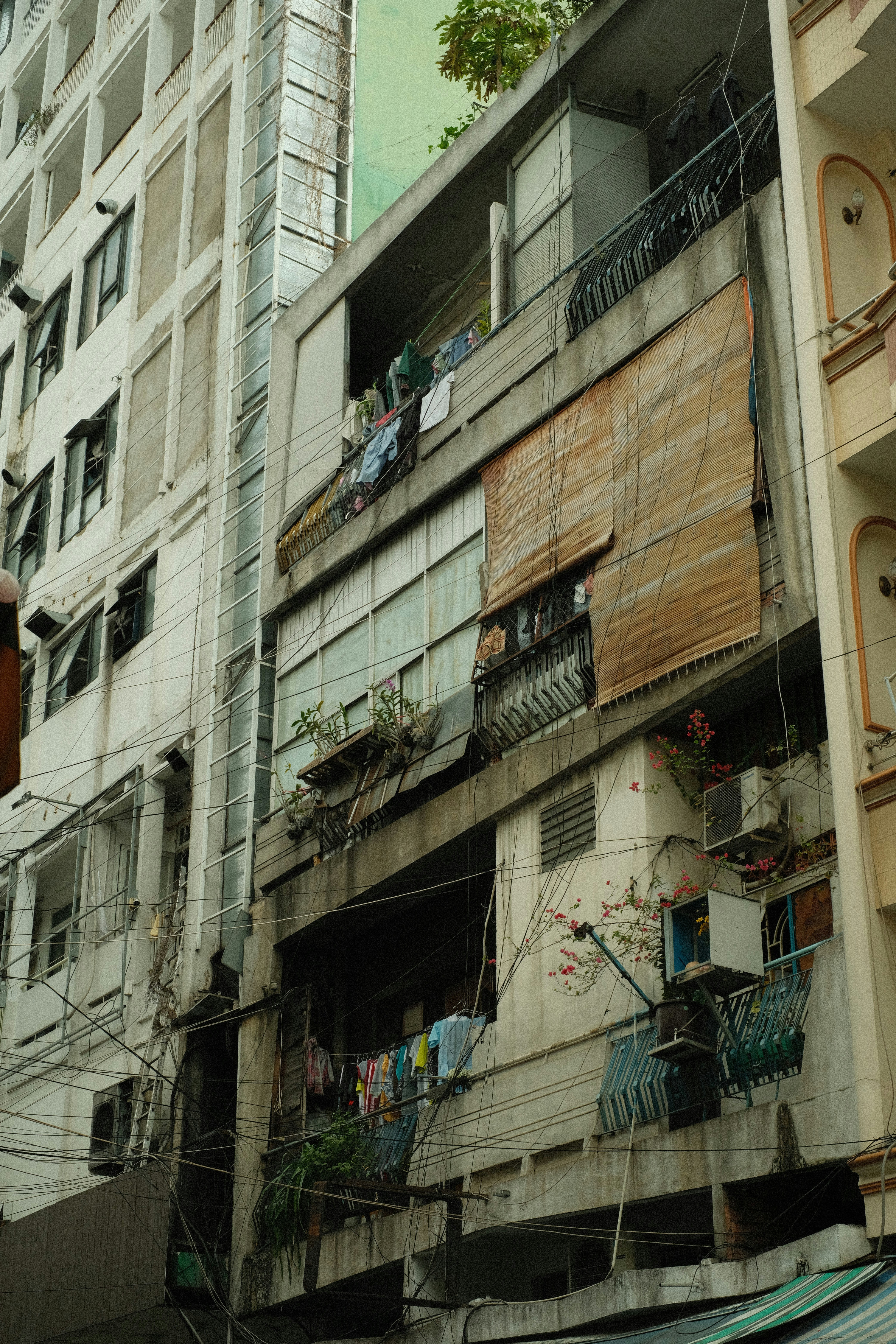 Photo by donguyenkhanhs