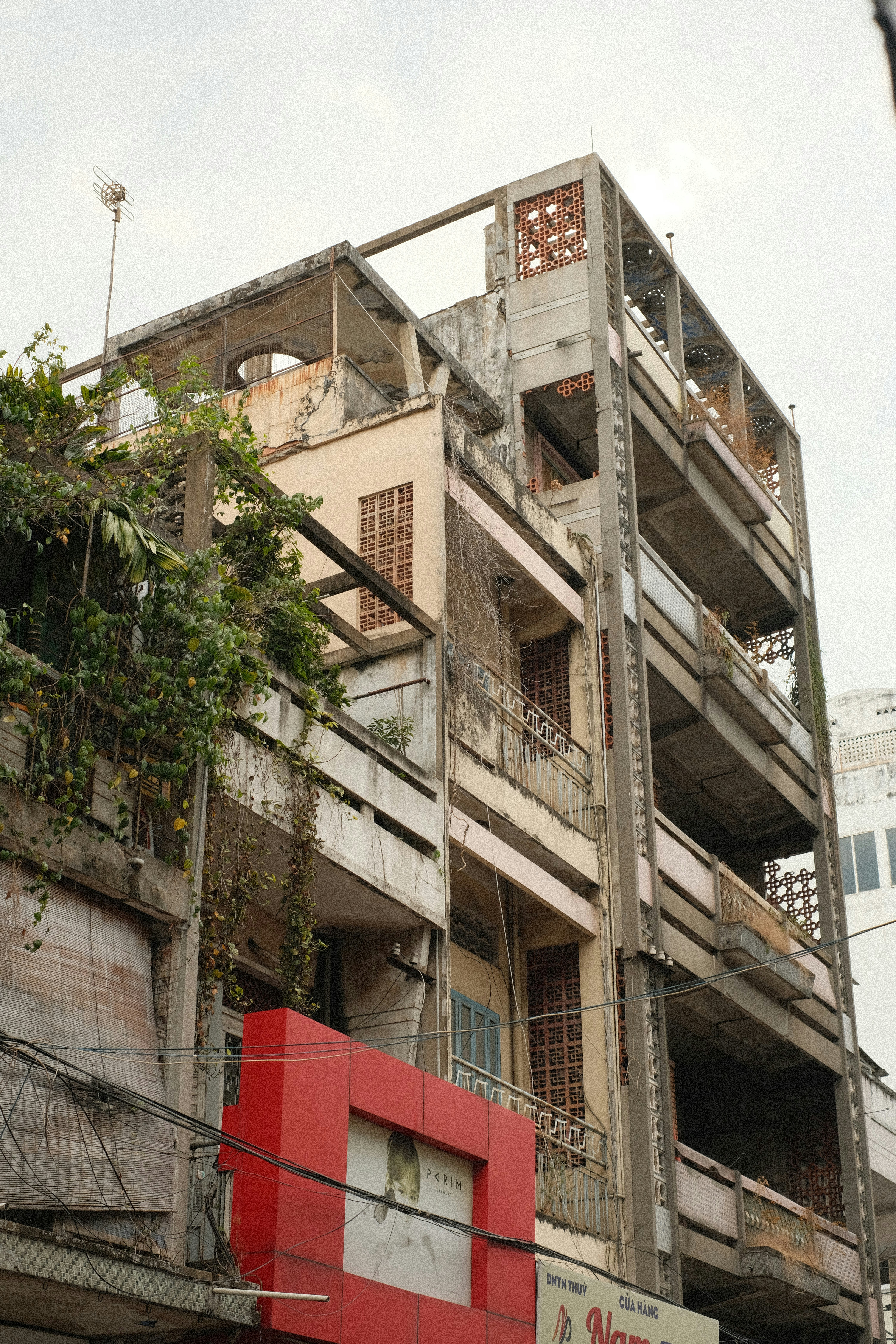 Photo by donguyenkhanhs