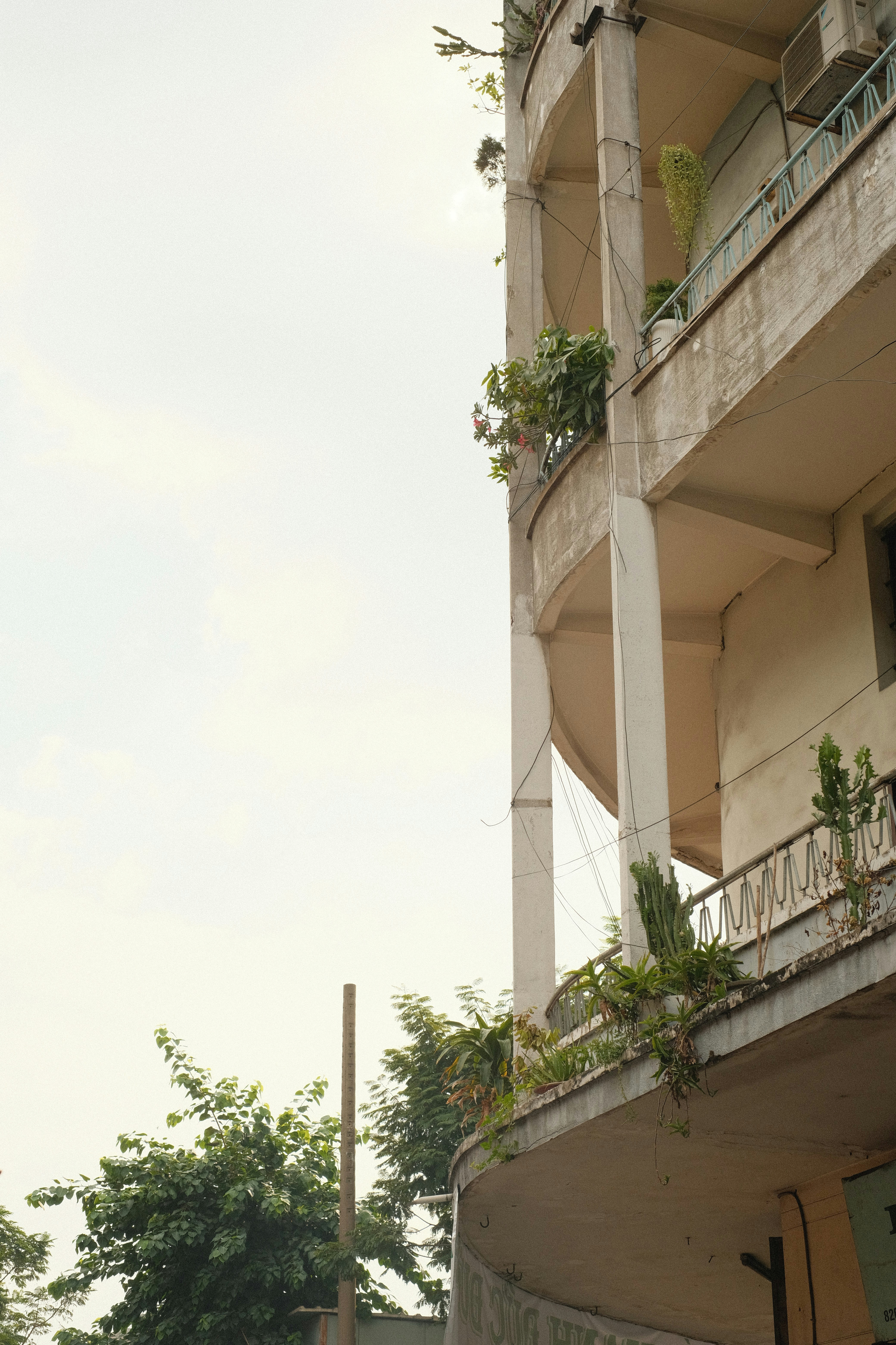 Photo by donguyenkhanhs