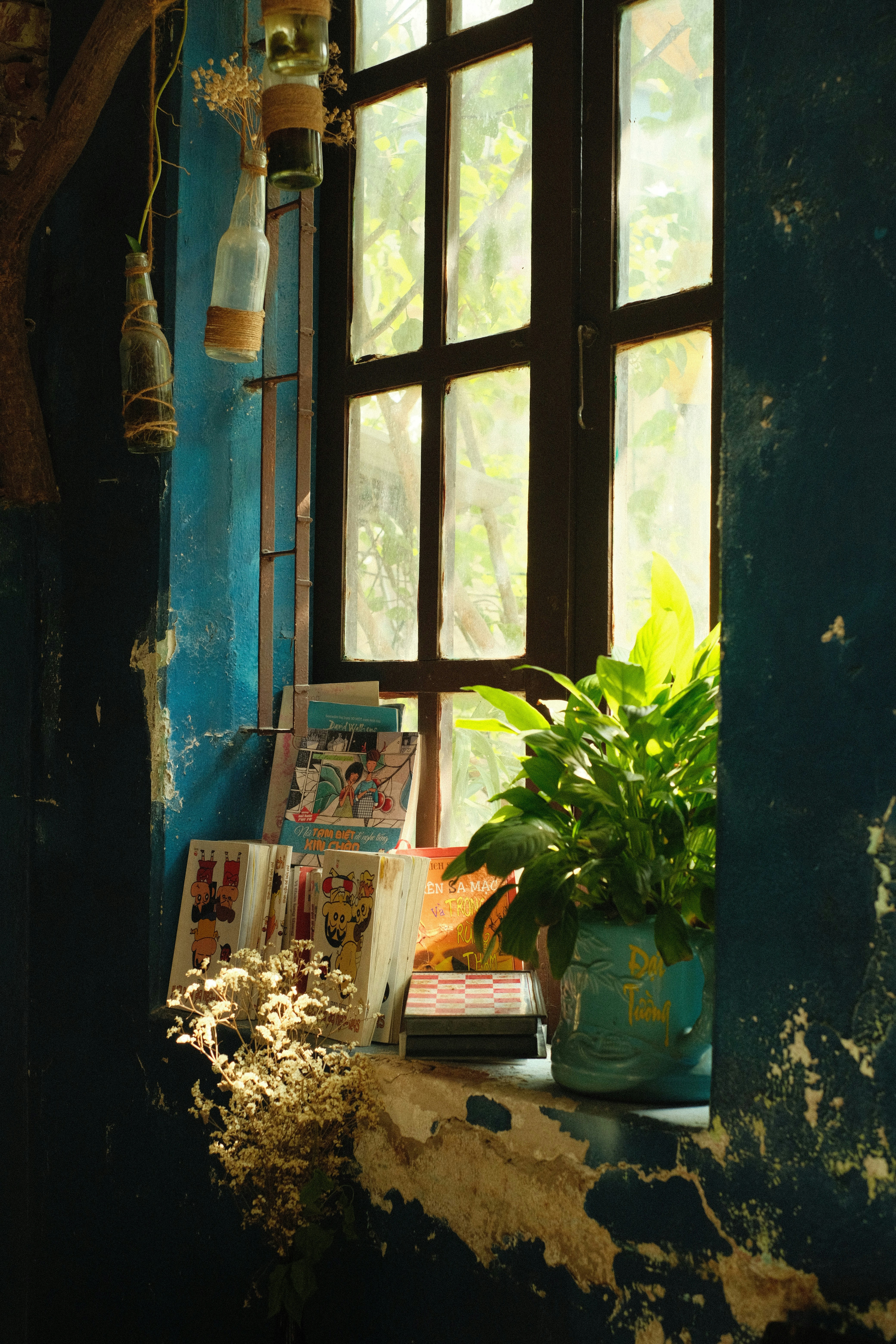 Photo by donguyenkhanhs