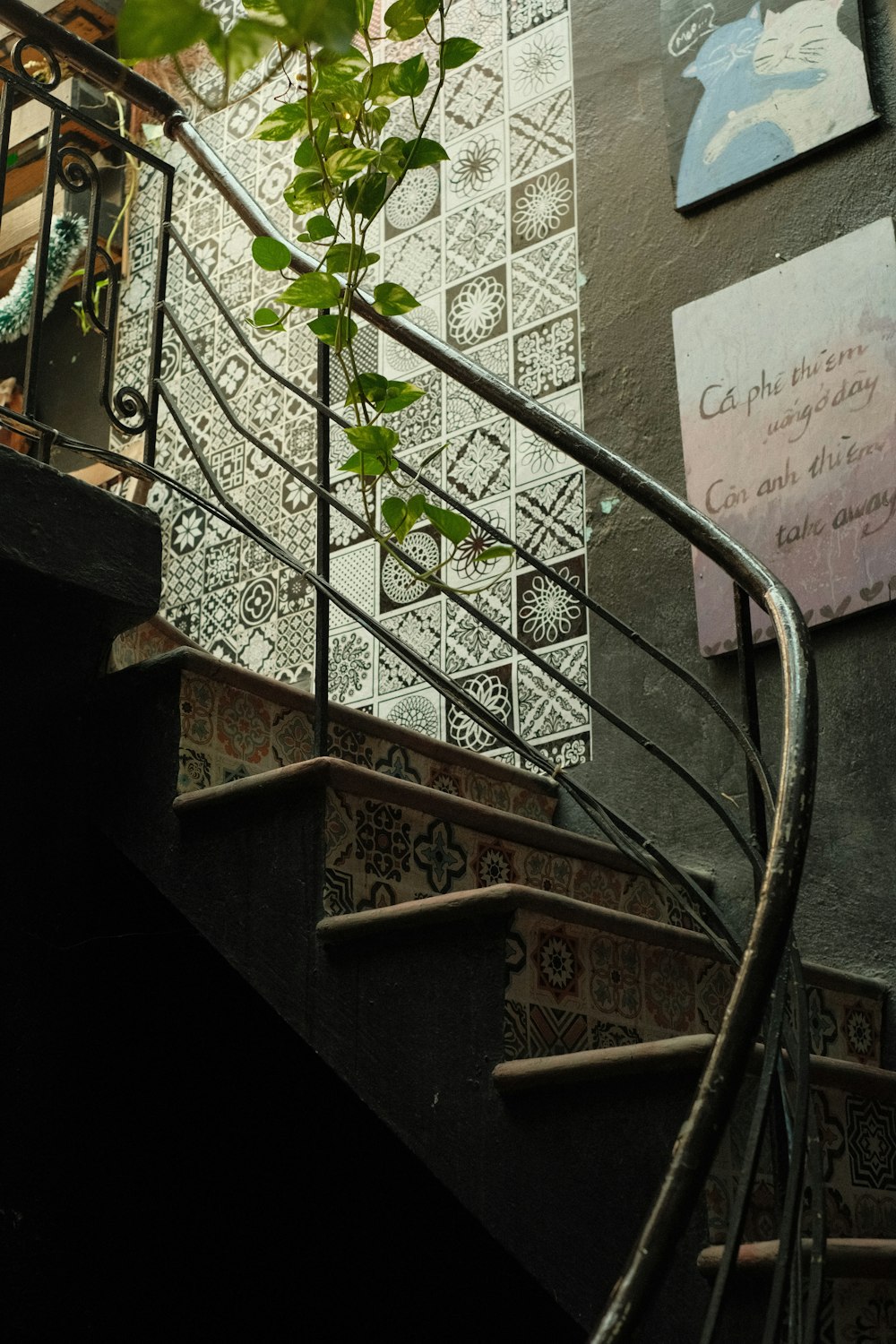 Une plante pousse en haut d’un escalier