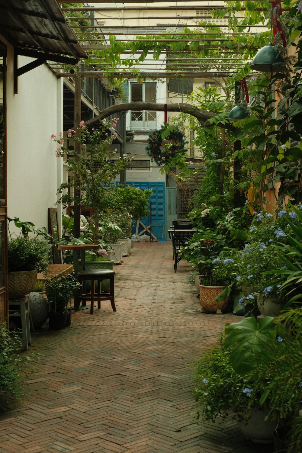 a walkway in a garden filled with lots of plants