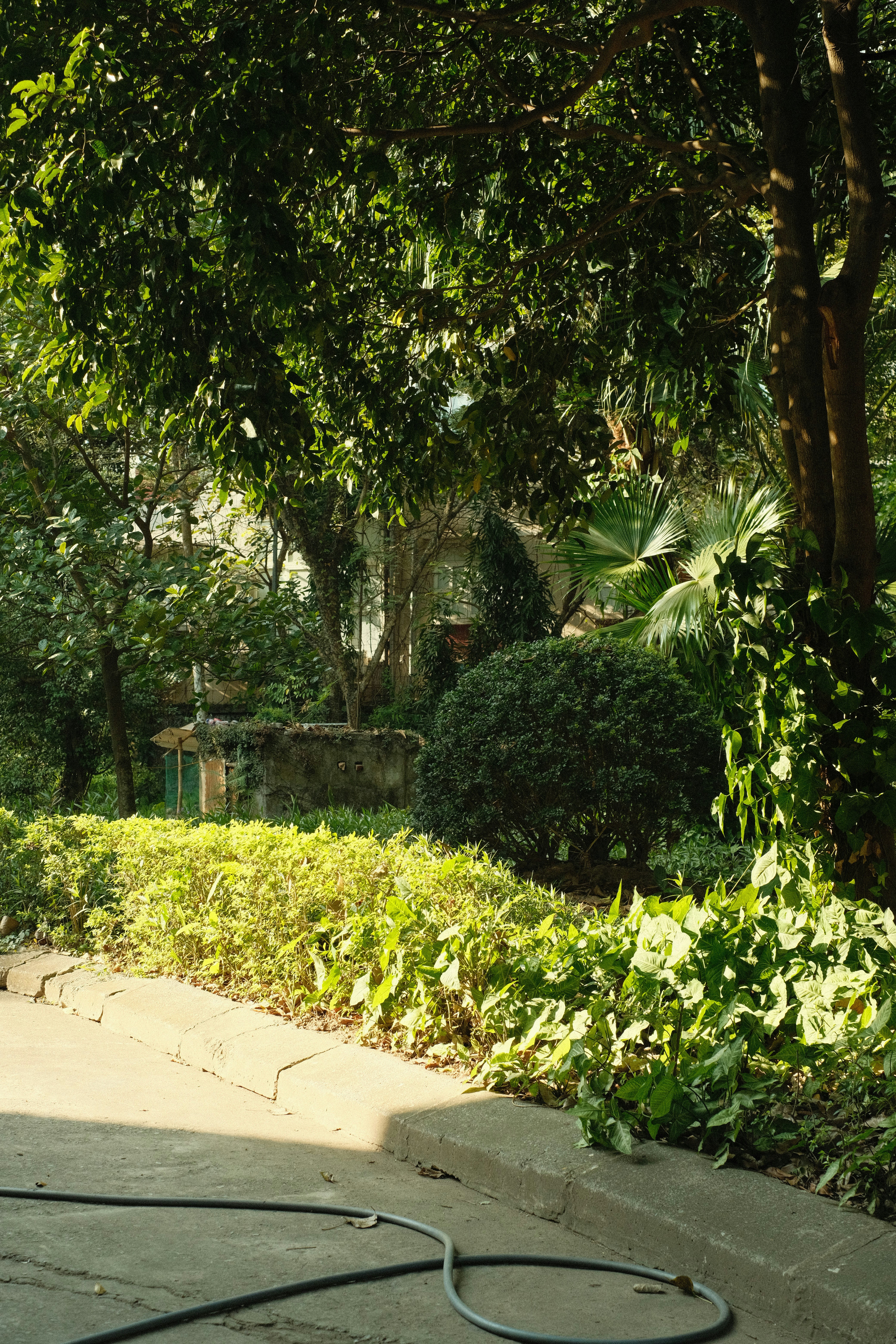 a hose connected to a fire hydrant in a garden