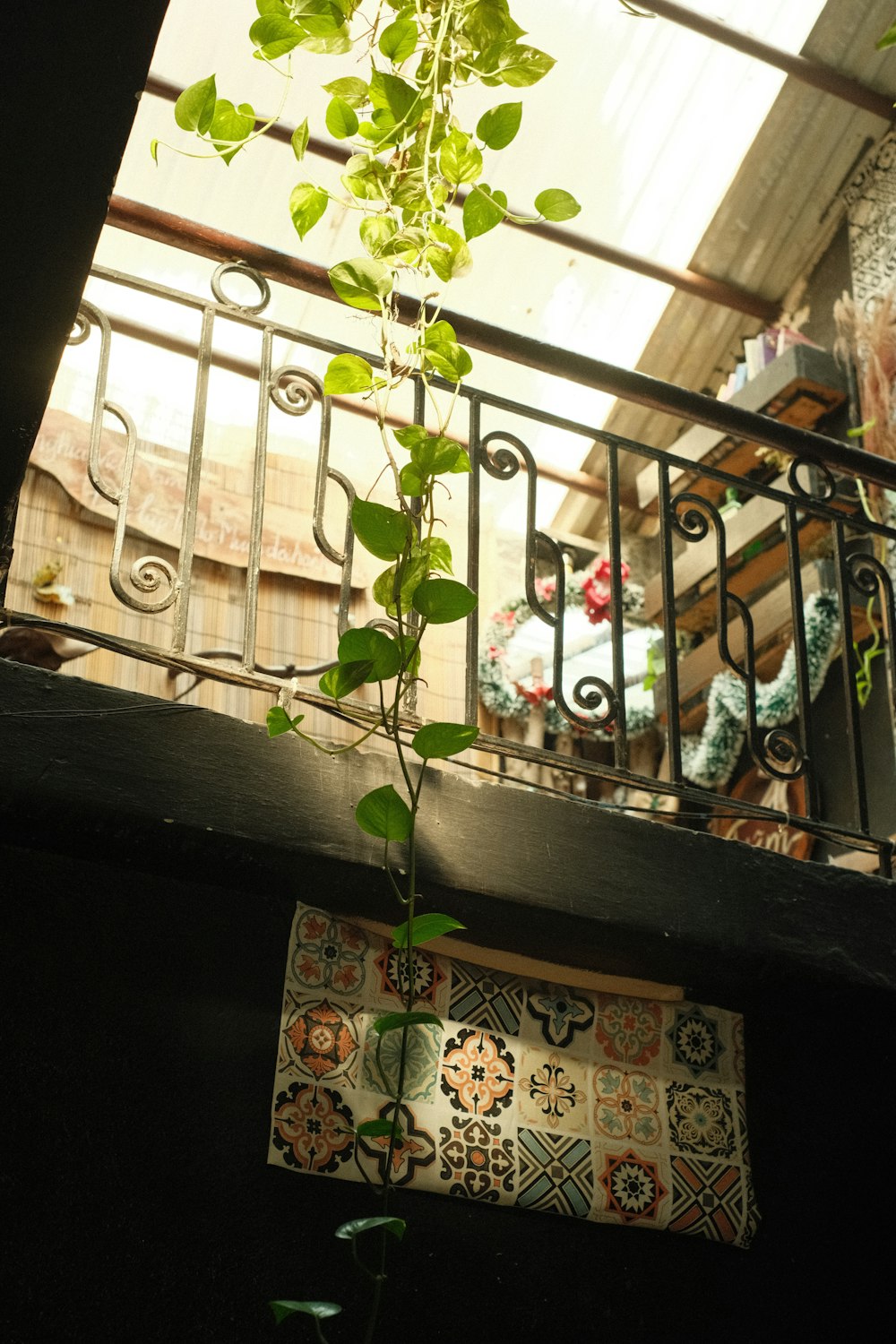 a plant is growing on a balcony railing