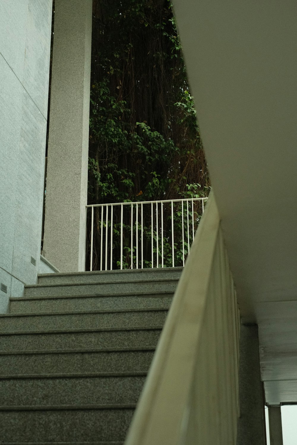 a man riding a skateboard down a flight of stairs