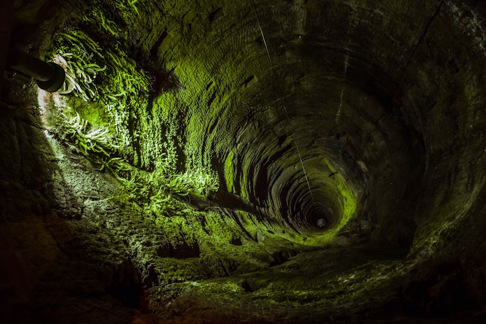 a dark tunnel with moss growing on the walls