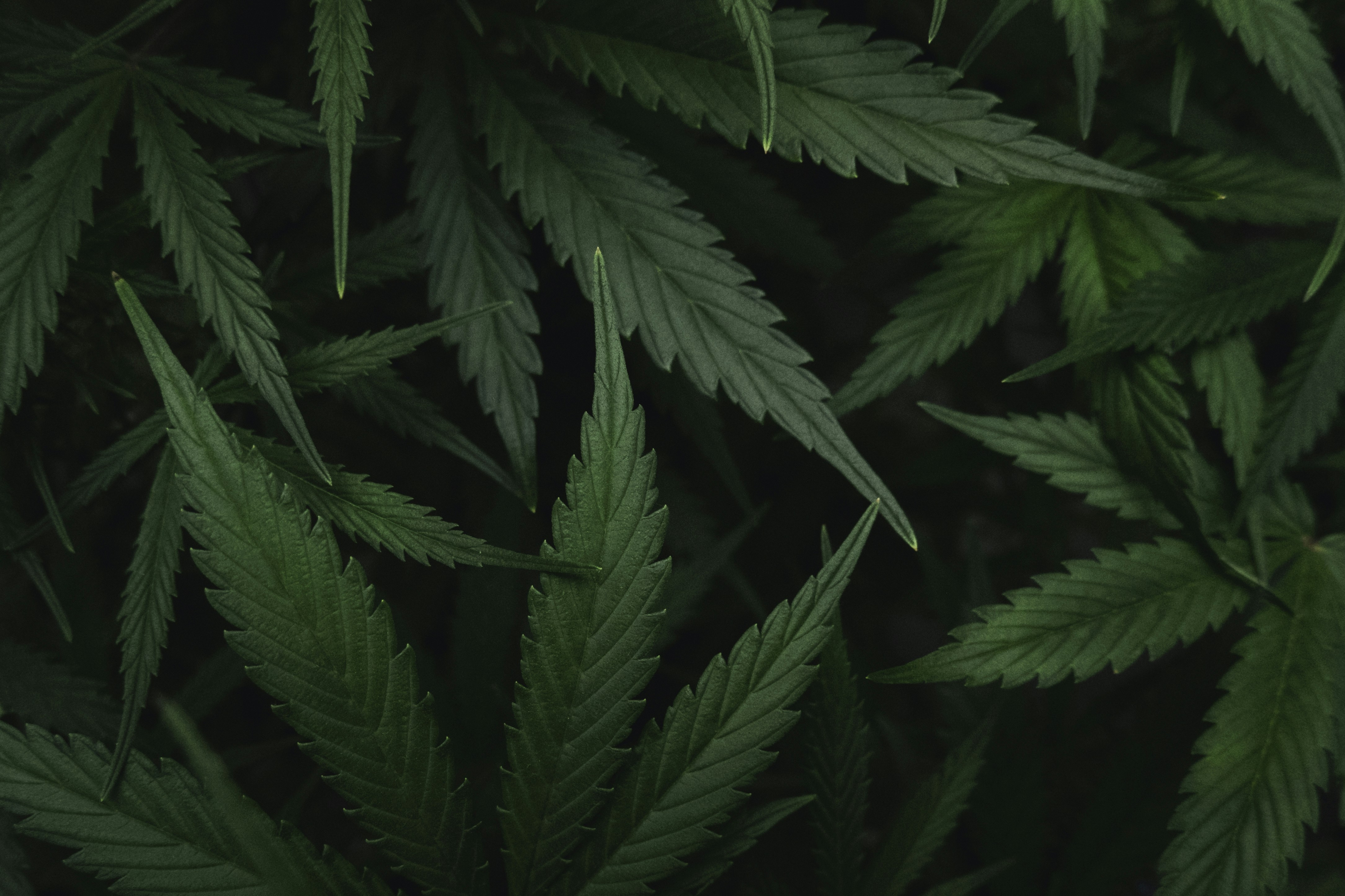 Photo by philstravel