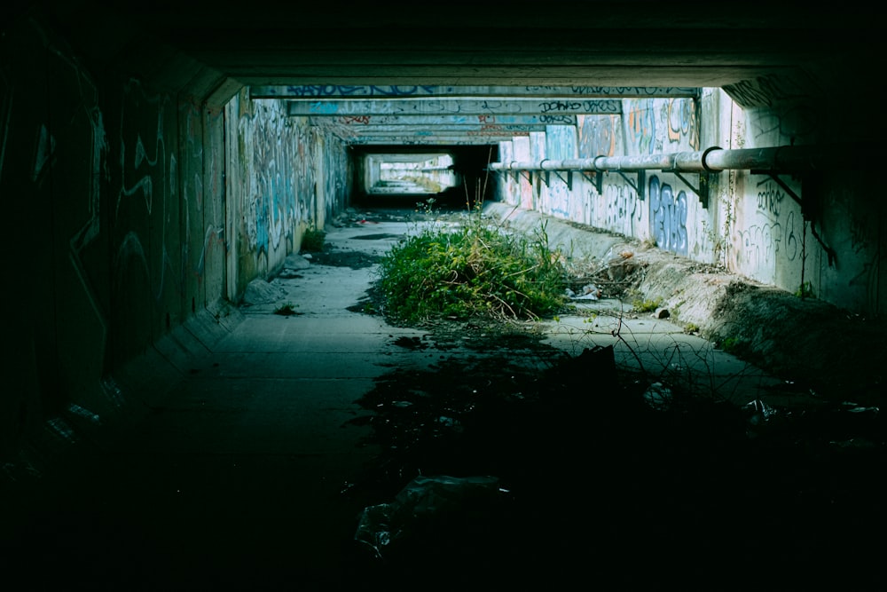 a dark tunnel with graffiti on the walls