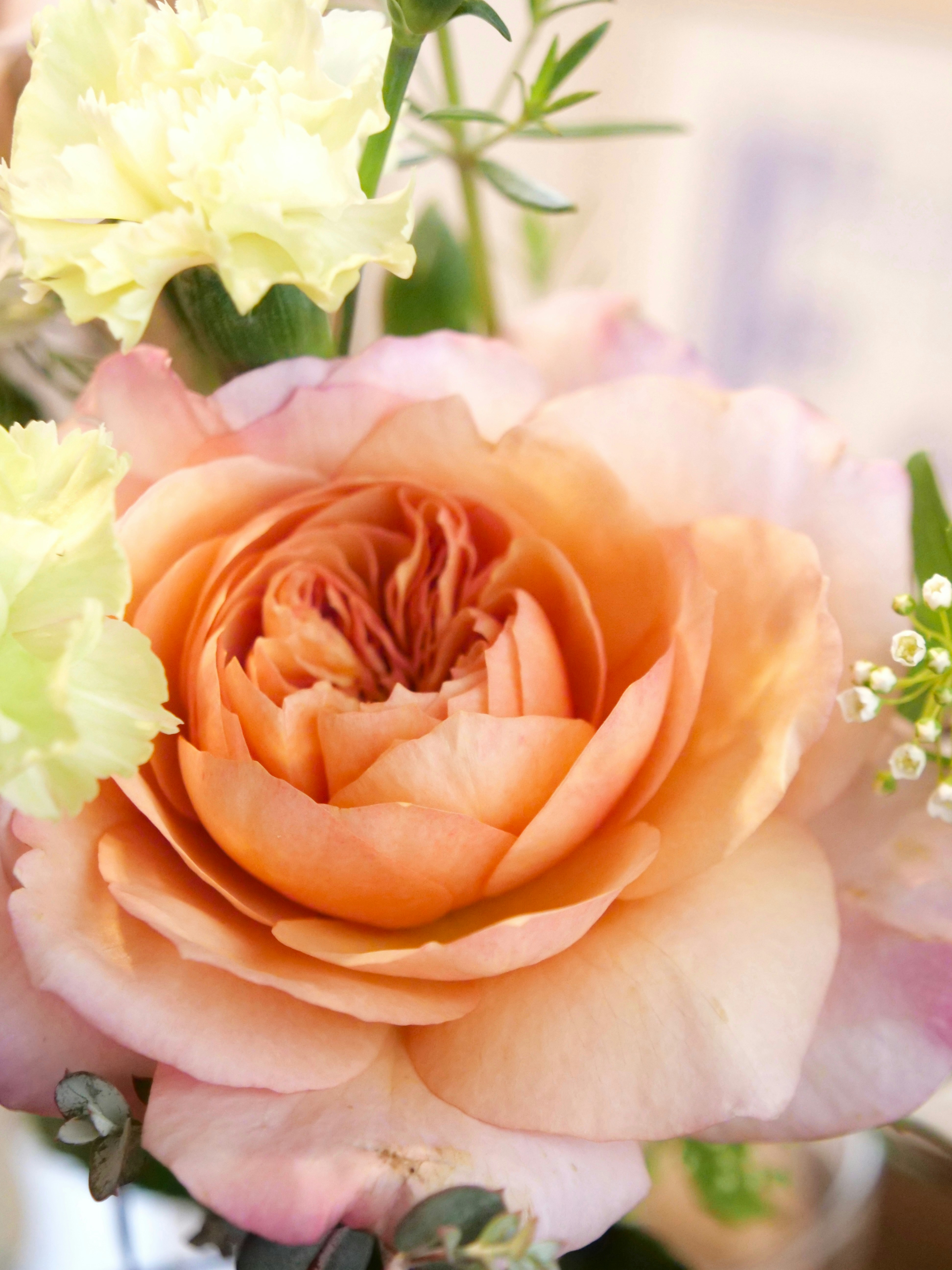 Photo by greendinosaur_com