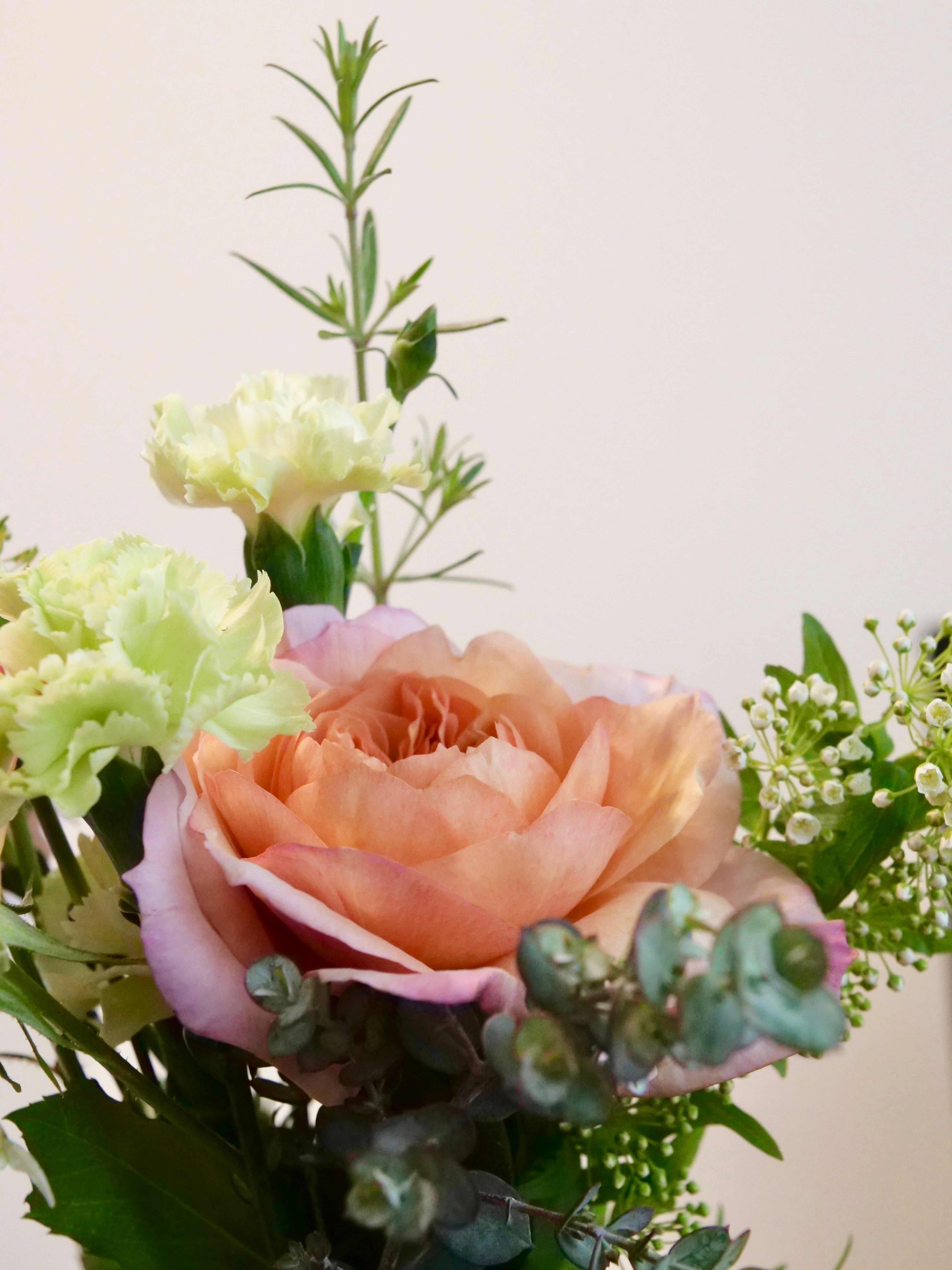 Photo by greendinosaur_com