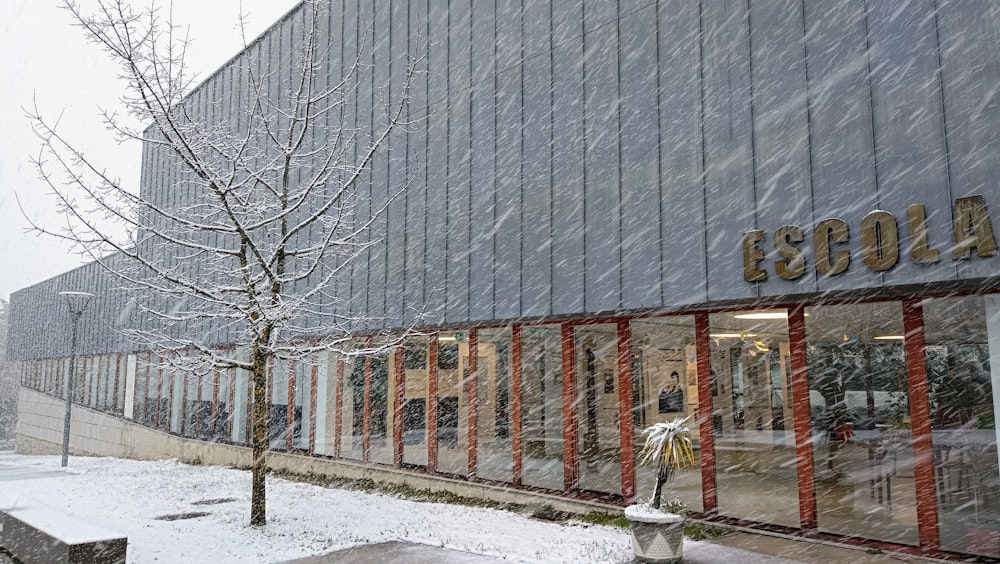 ein Gebäude, vor dem ein Baum steht