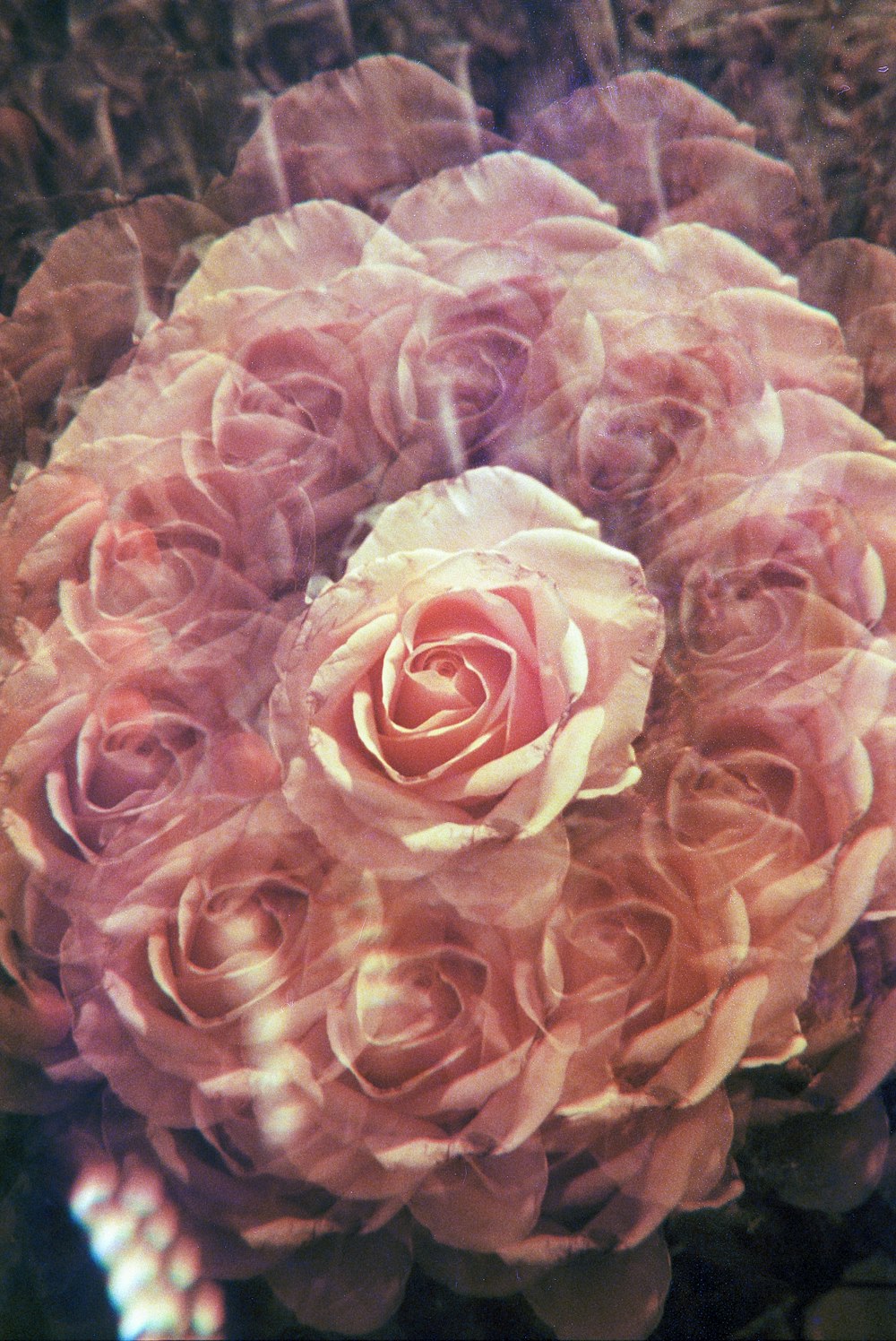 a close up of a pink flower on a table