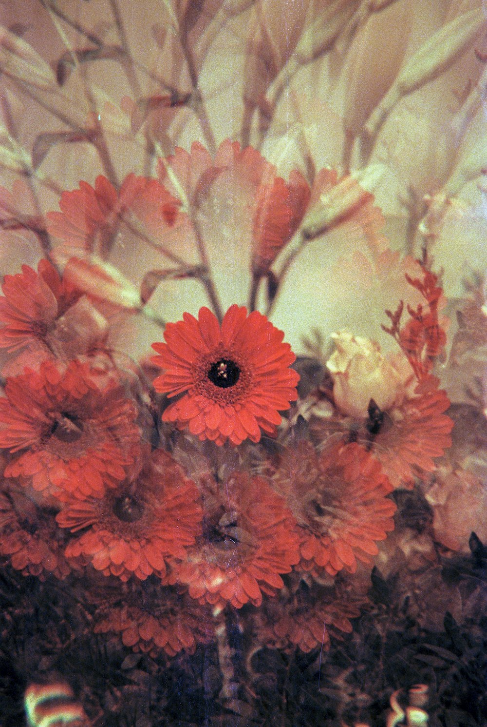 a bunch of red and white flowers in a vase