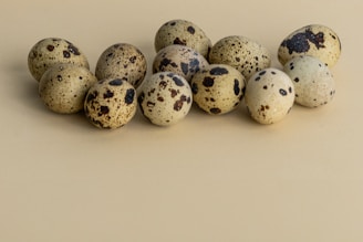a group of quails sitting on top of each other