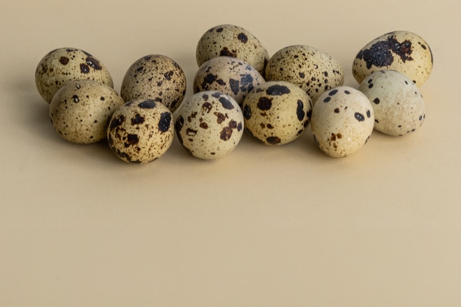 a group of quails sitting on top of each other