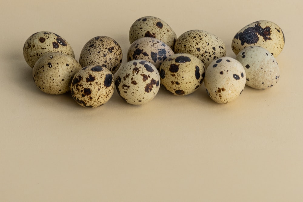 a group of quails sitting on top of each other