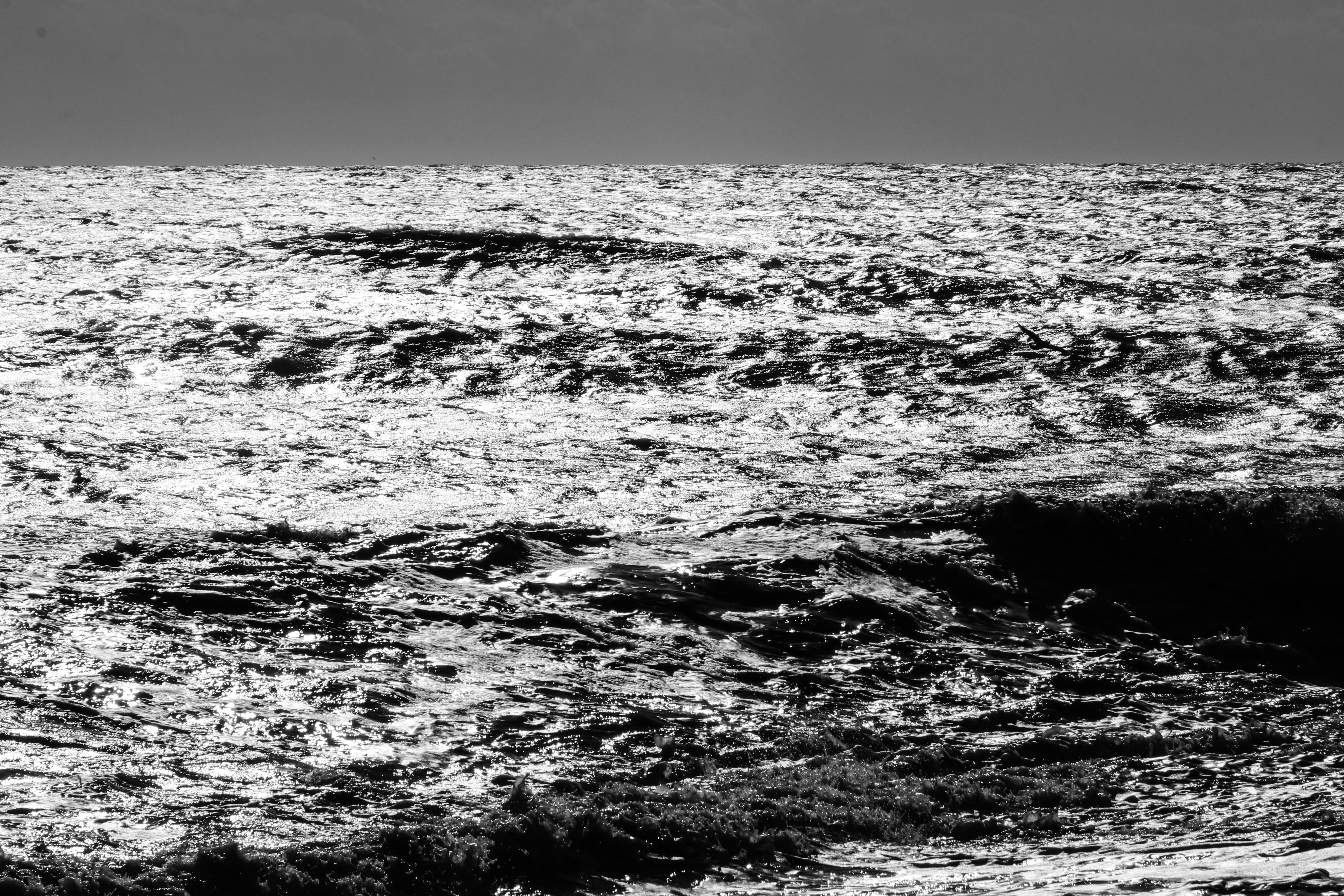 a black and white photo of the ocean