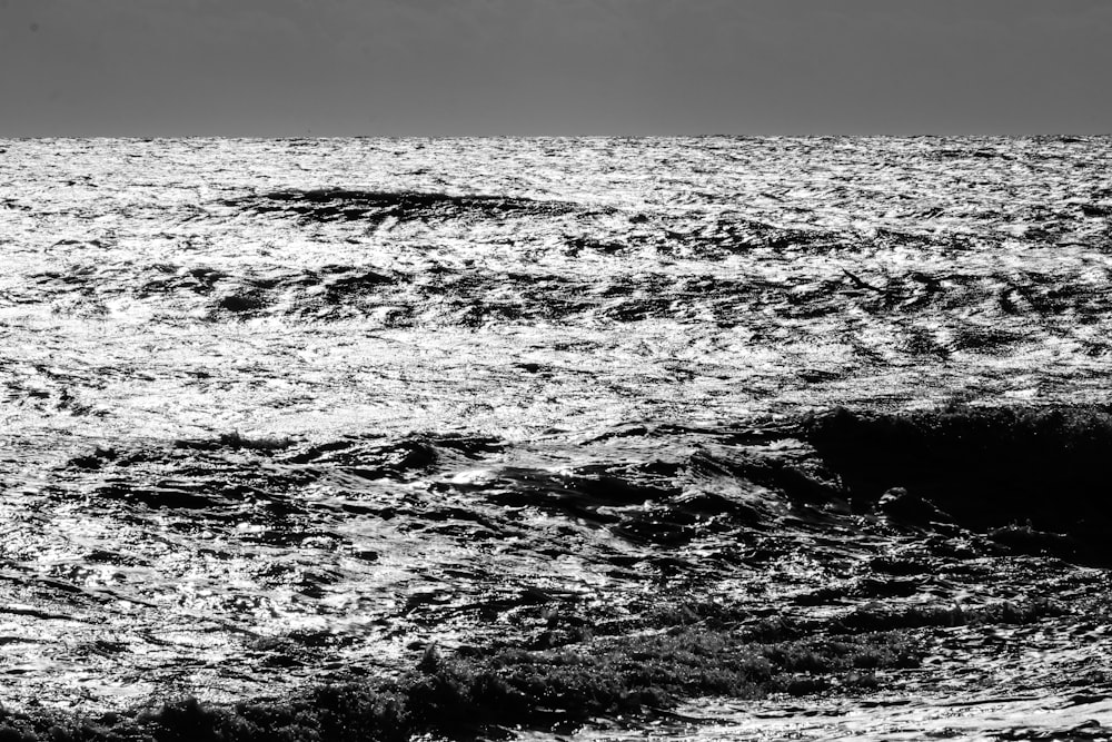 바다의 흑백 사진