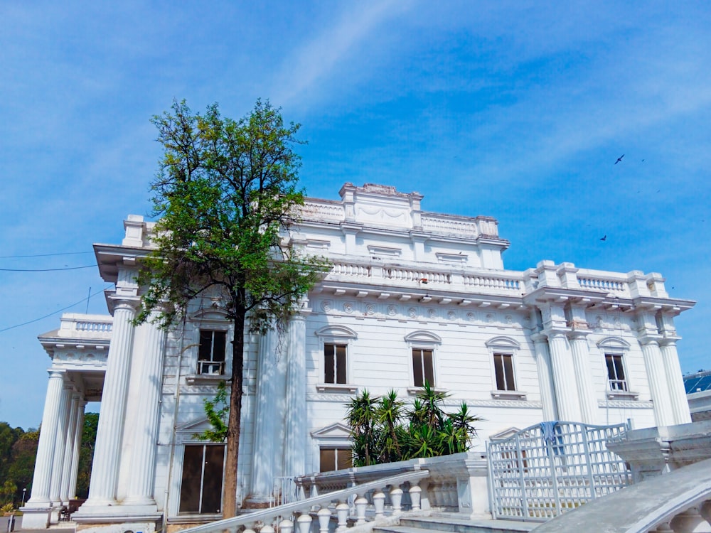 a large white building with a tree in front of it