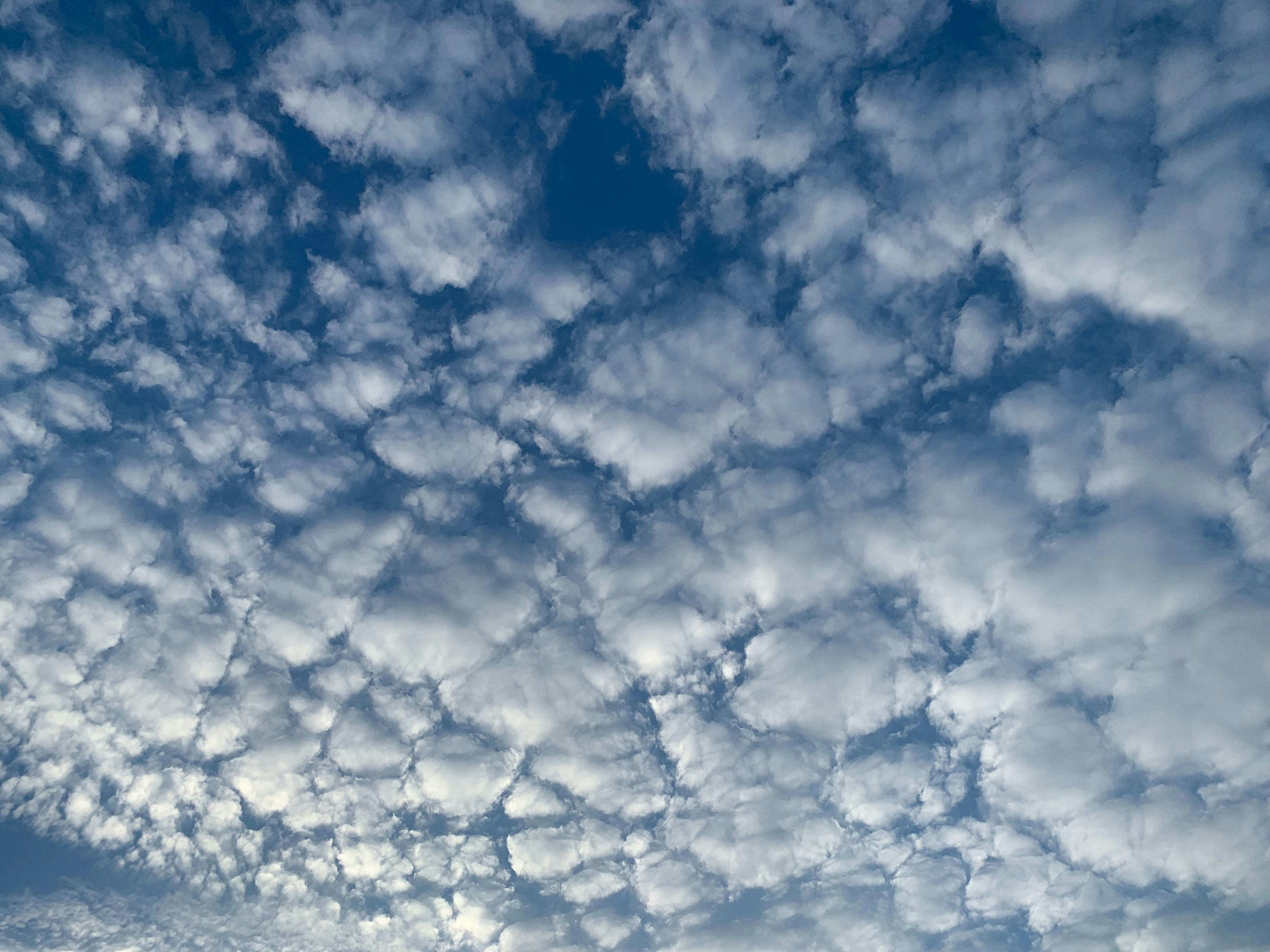 Photo by kelbelle3201