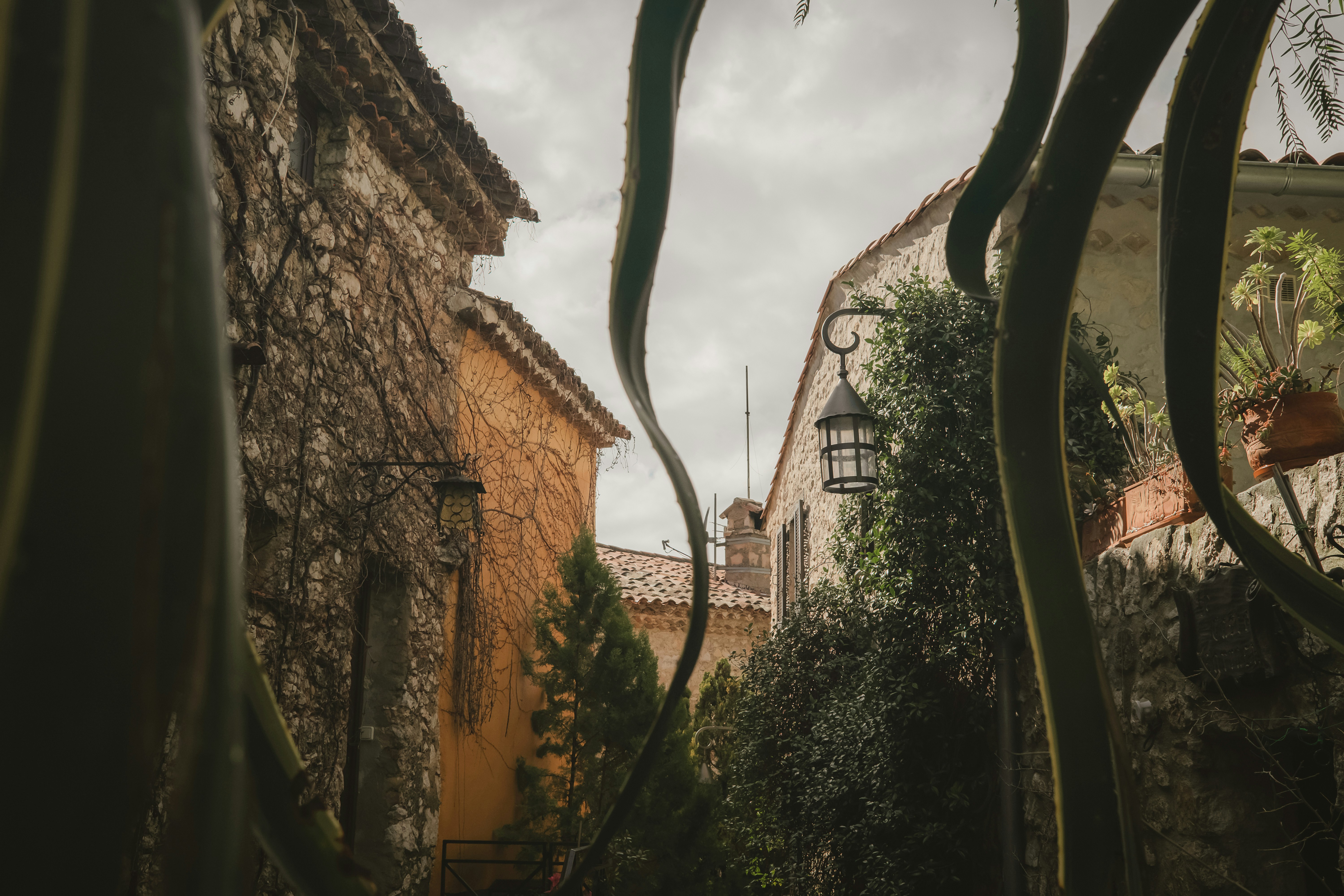 a view of a street with a building in the background
