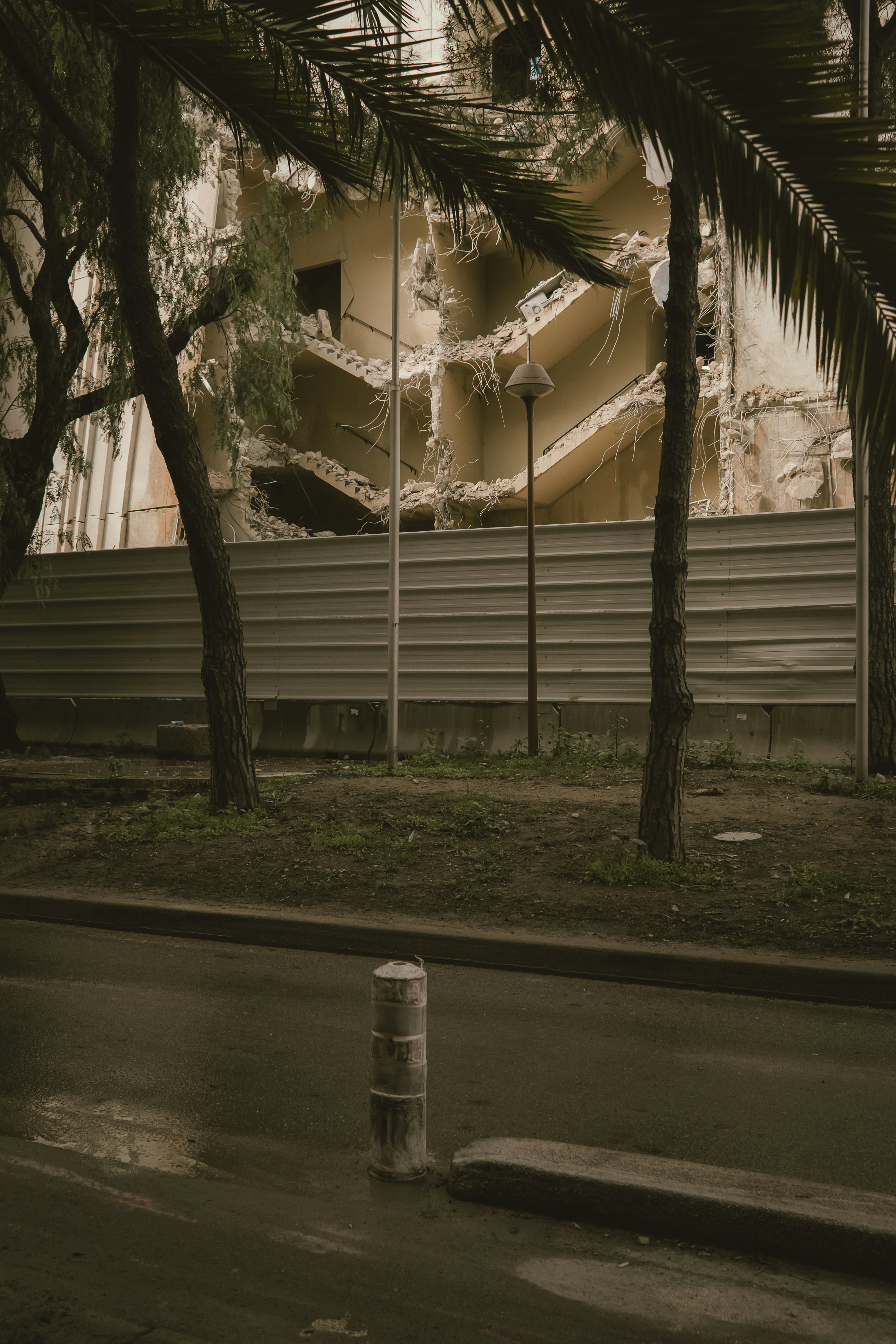 a building with a palm tree in front of it