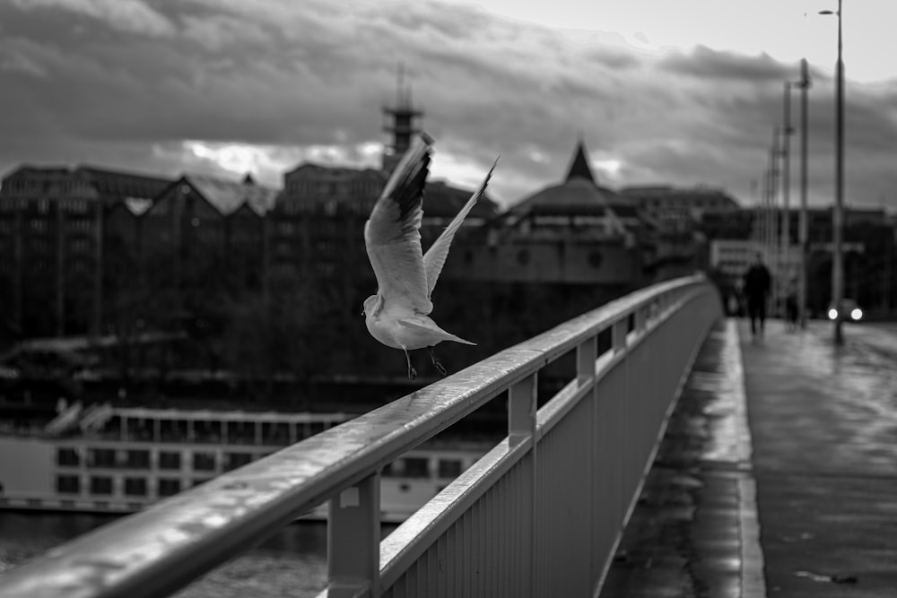 a black and white photo of a seagull flying over a bridge