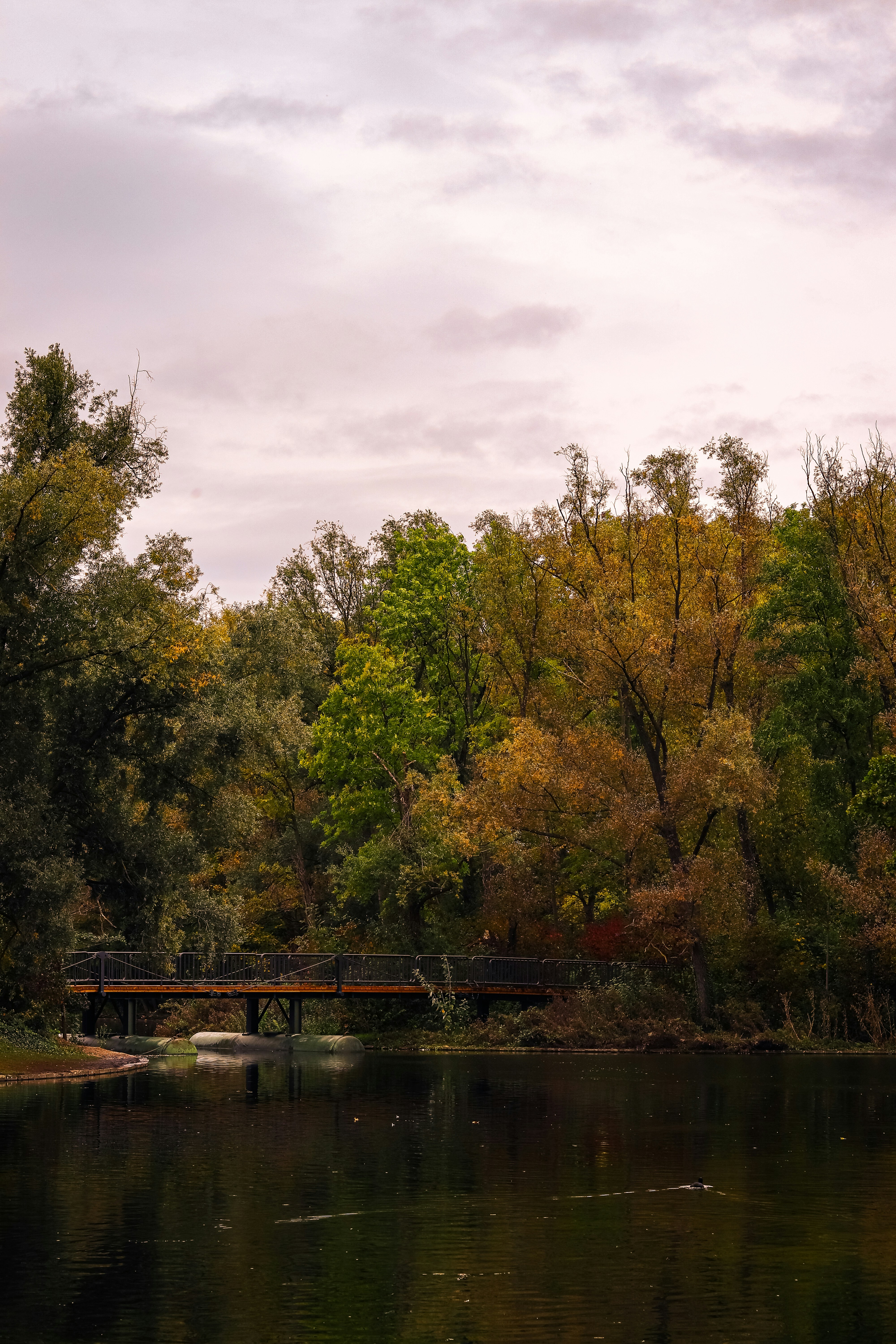 Photo by ferchof_raw